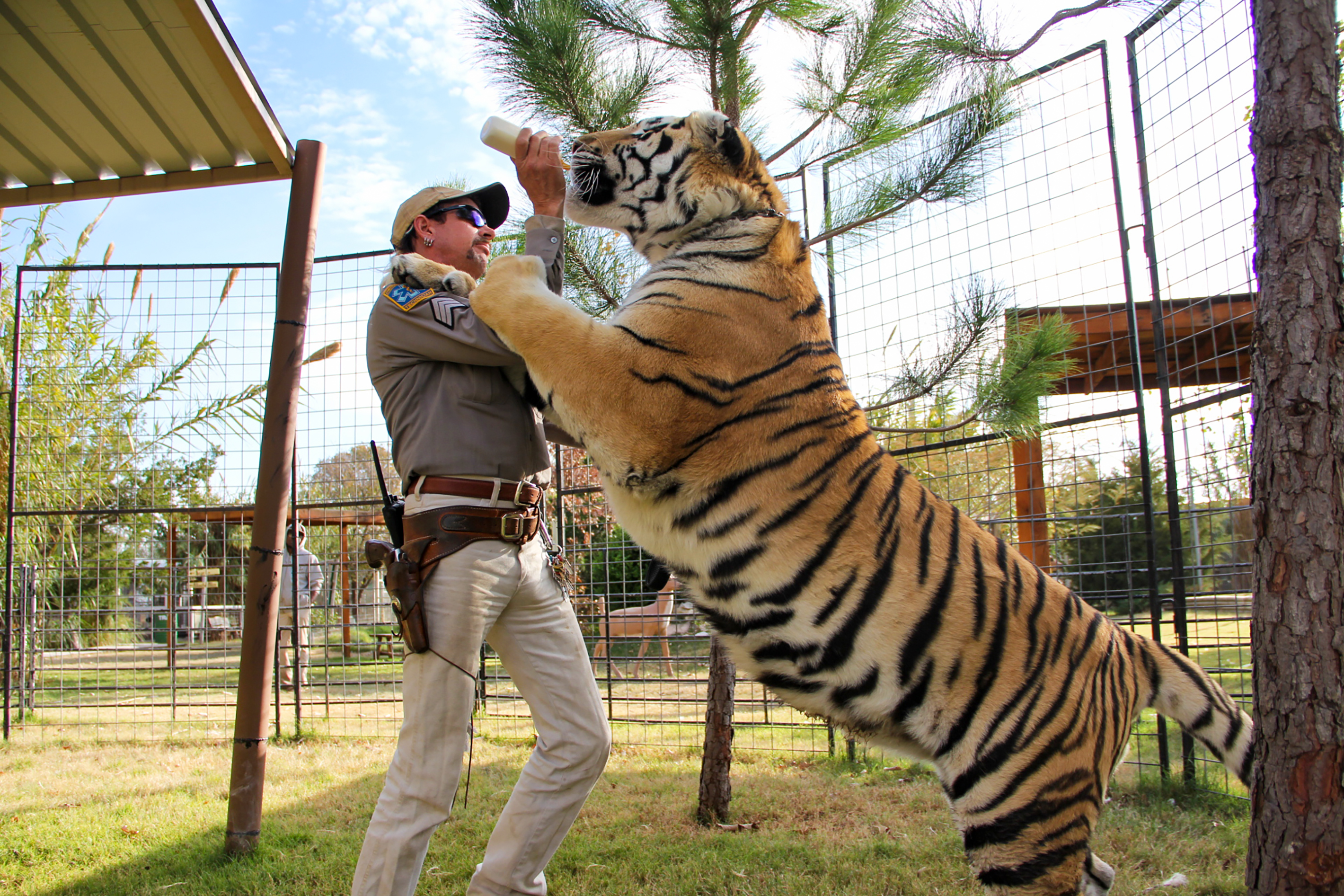 tiger-king-joe-exotic