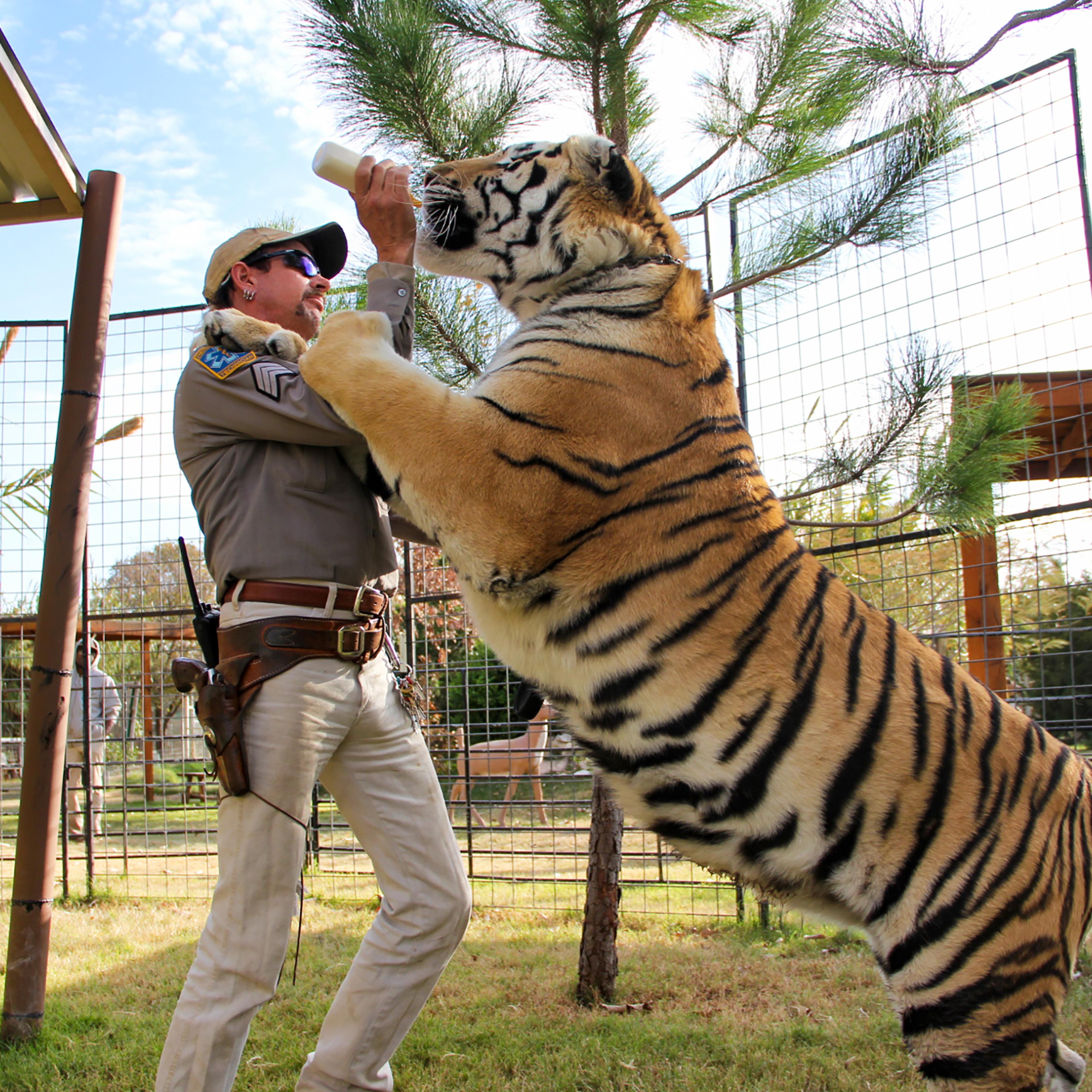 tiger-king-joe-exotic