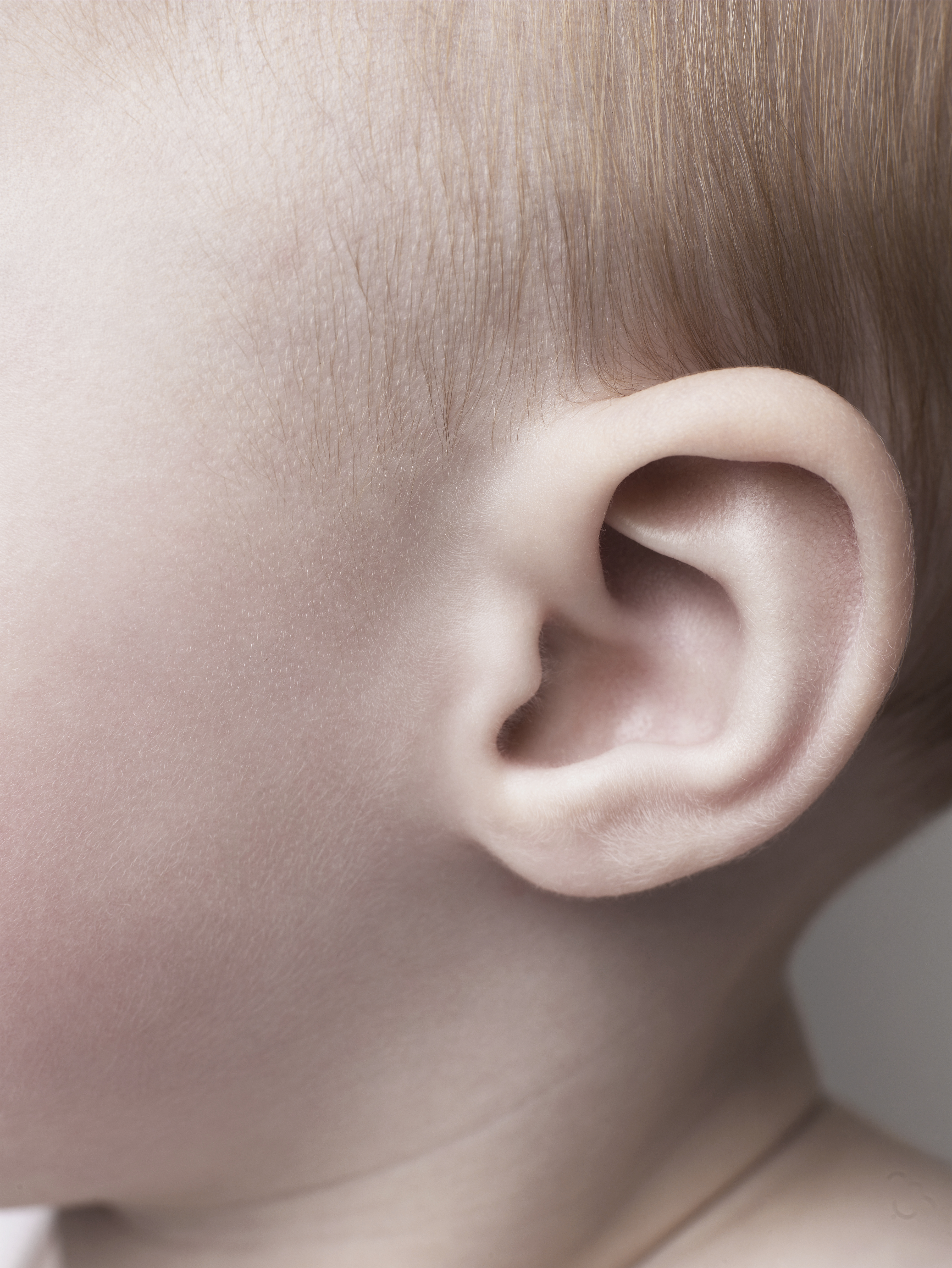 baby ear