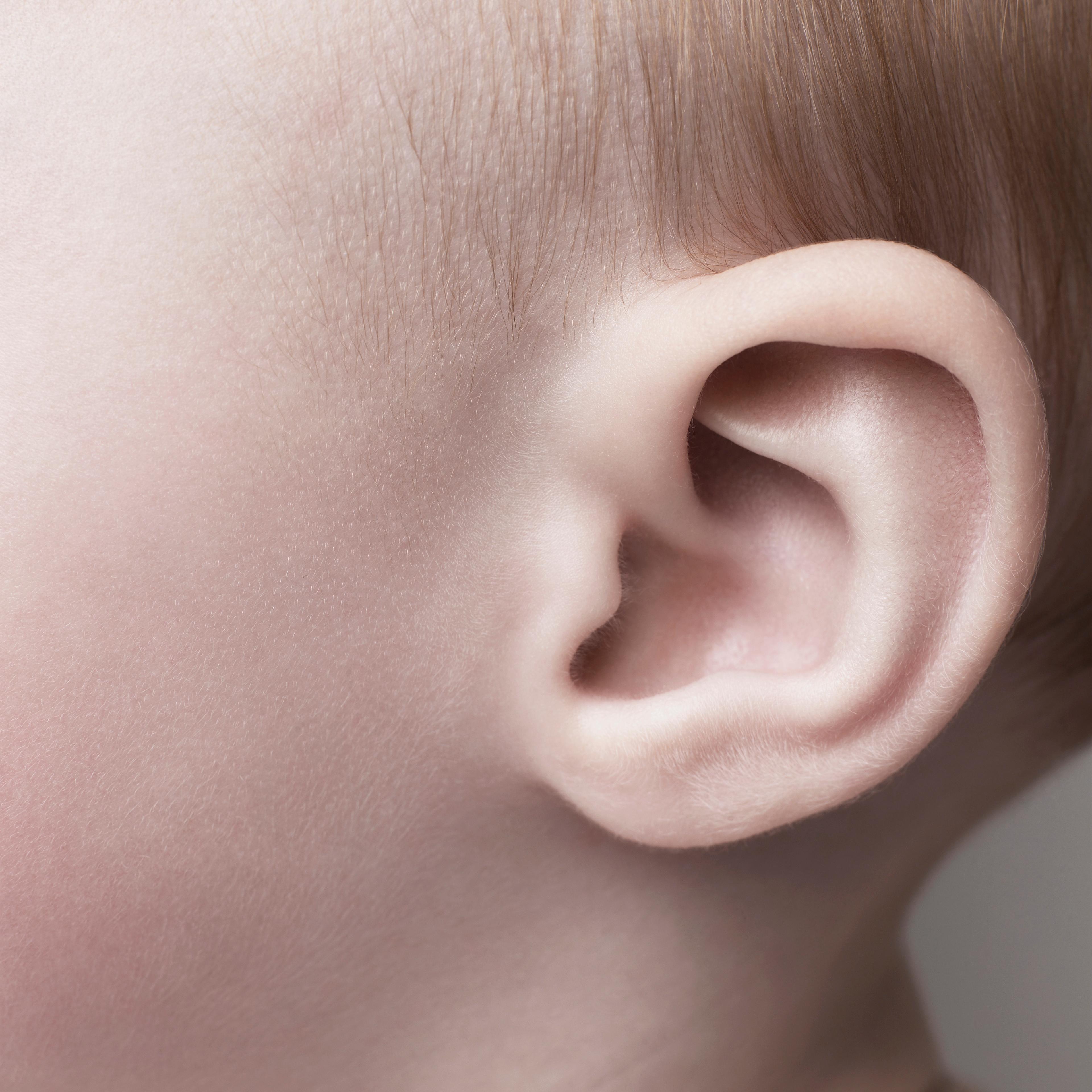baby ear