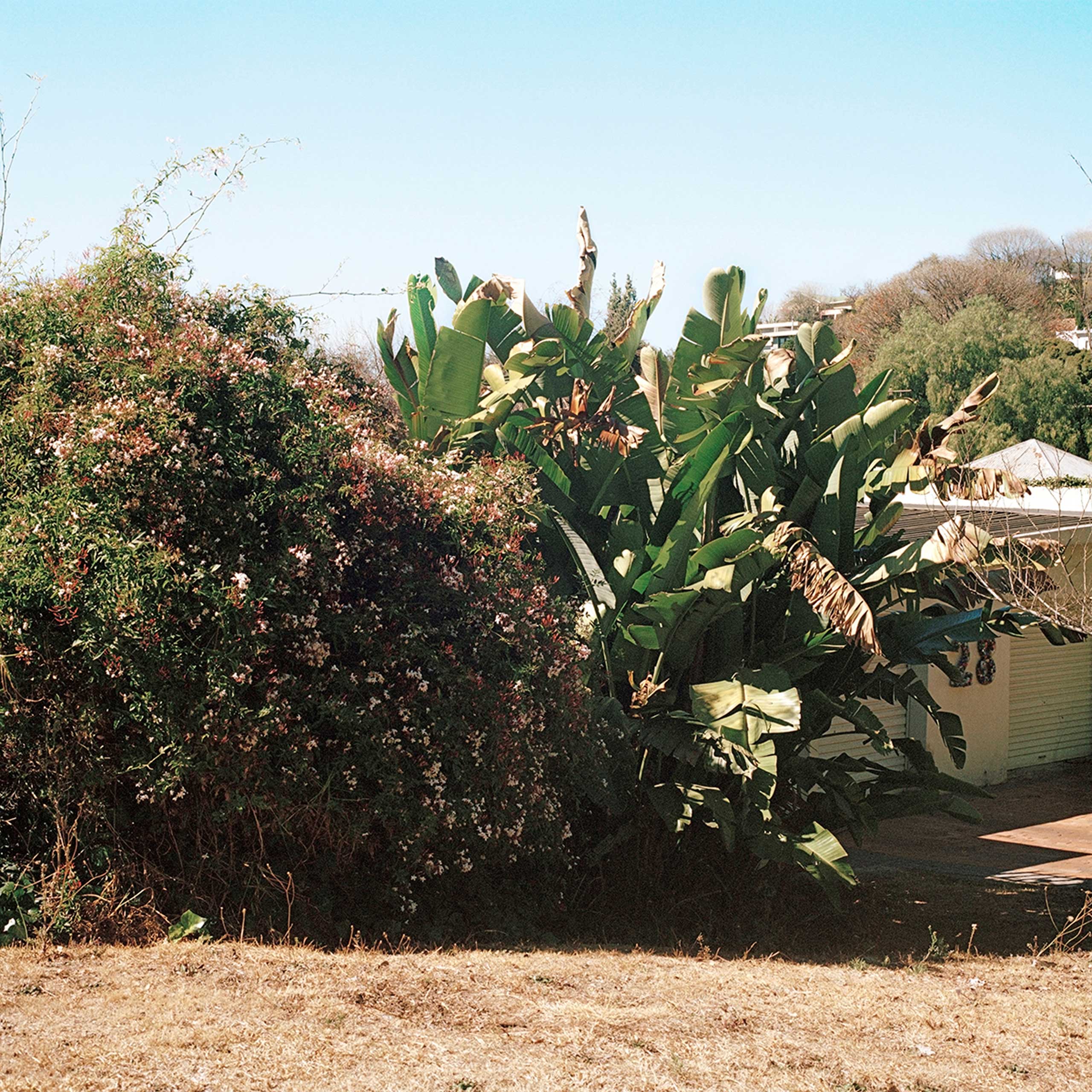 04-Mimi-Cherono-Ng-ok-Untitled-2014-bush-flowers