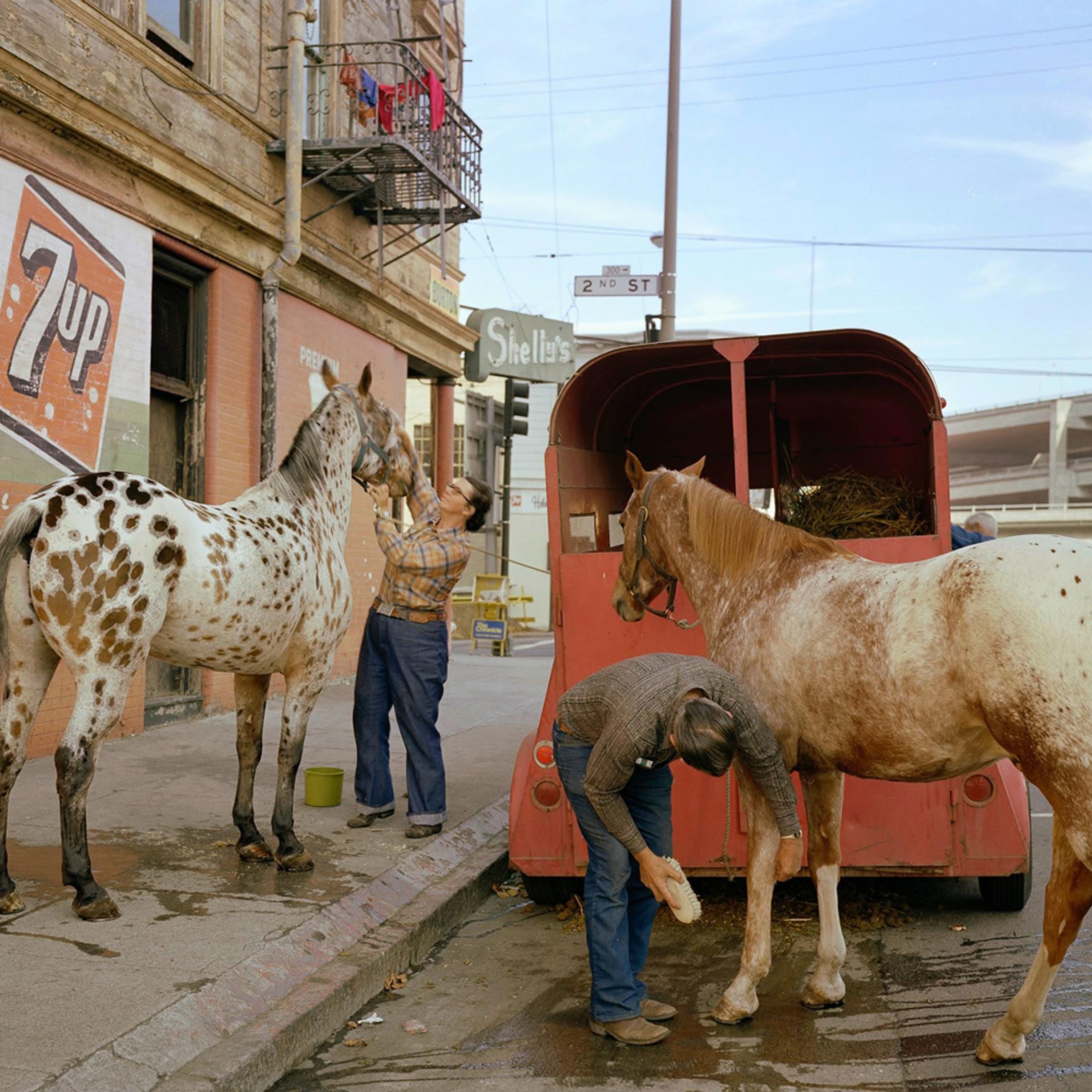 Skip Wheeler and his wife groom their horses after Veteran’s Day Parade, Folsom at 2nd Street