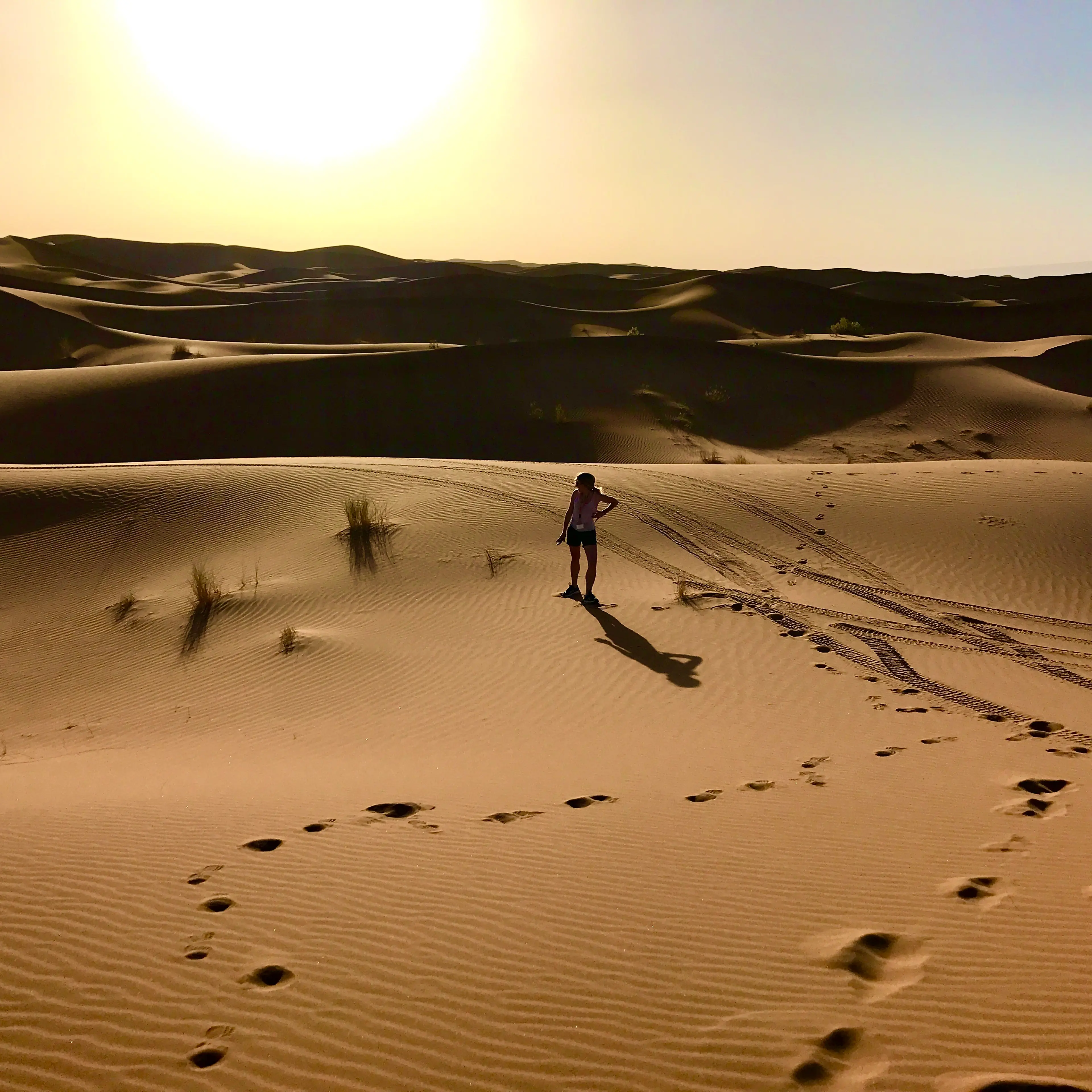 Moroccan Sahara Dunes