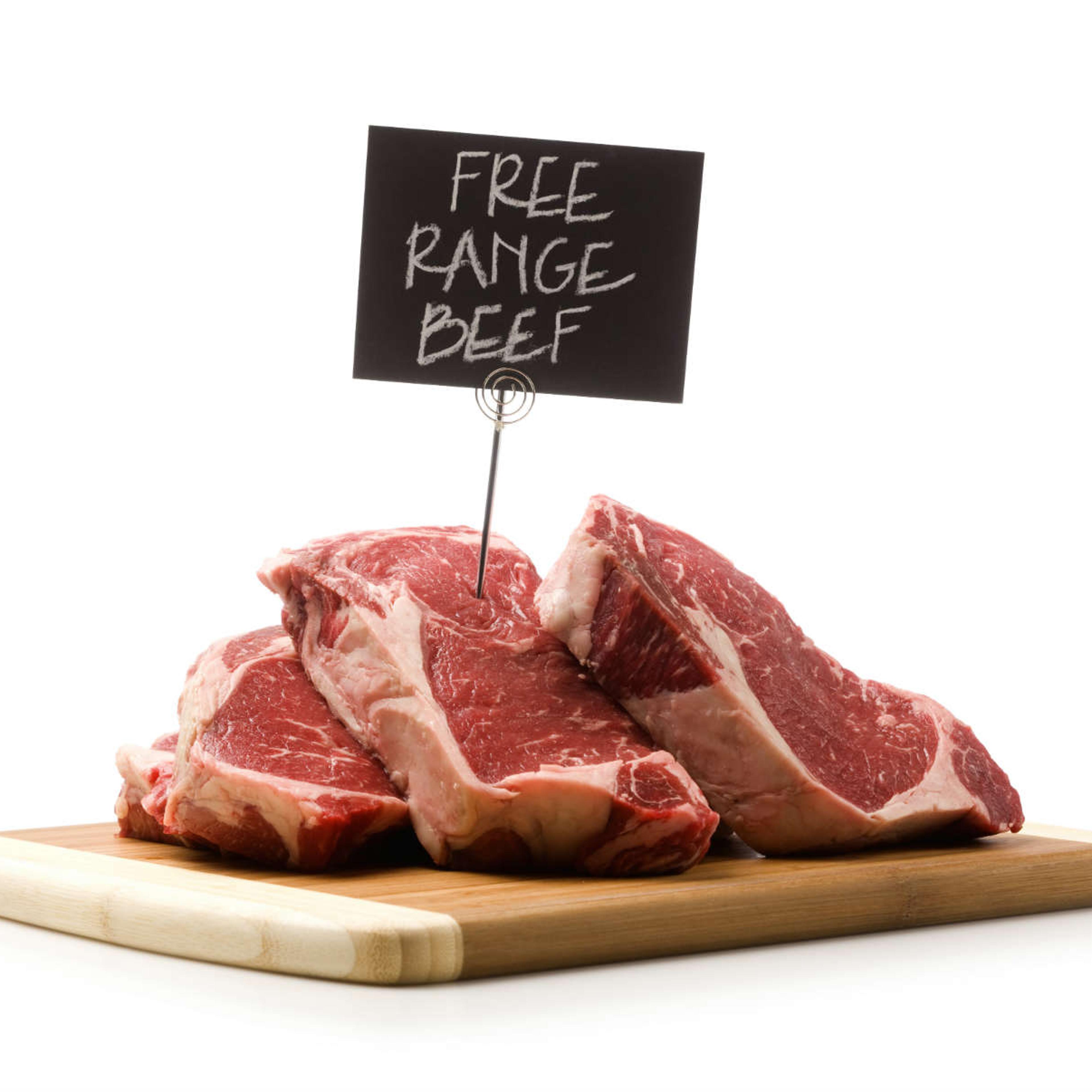 Humane Meat Labels