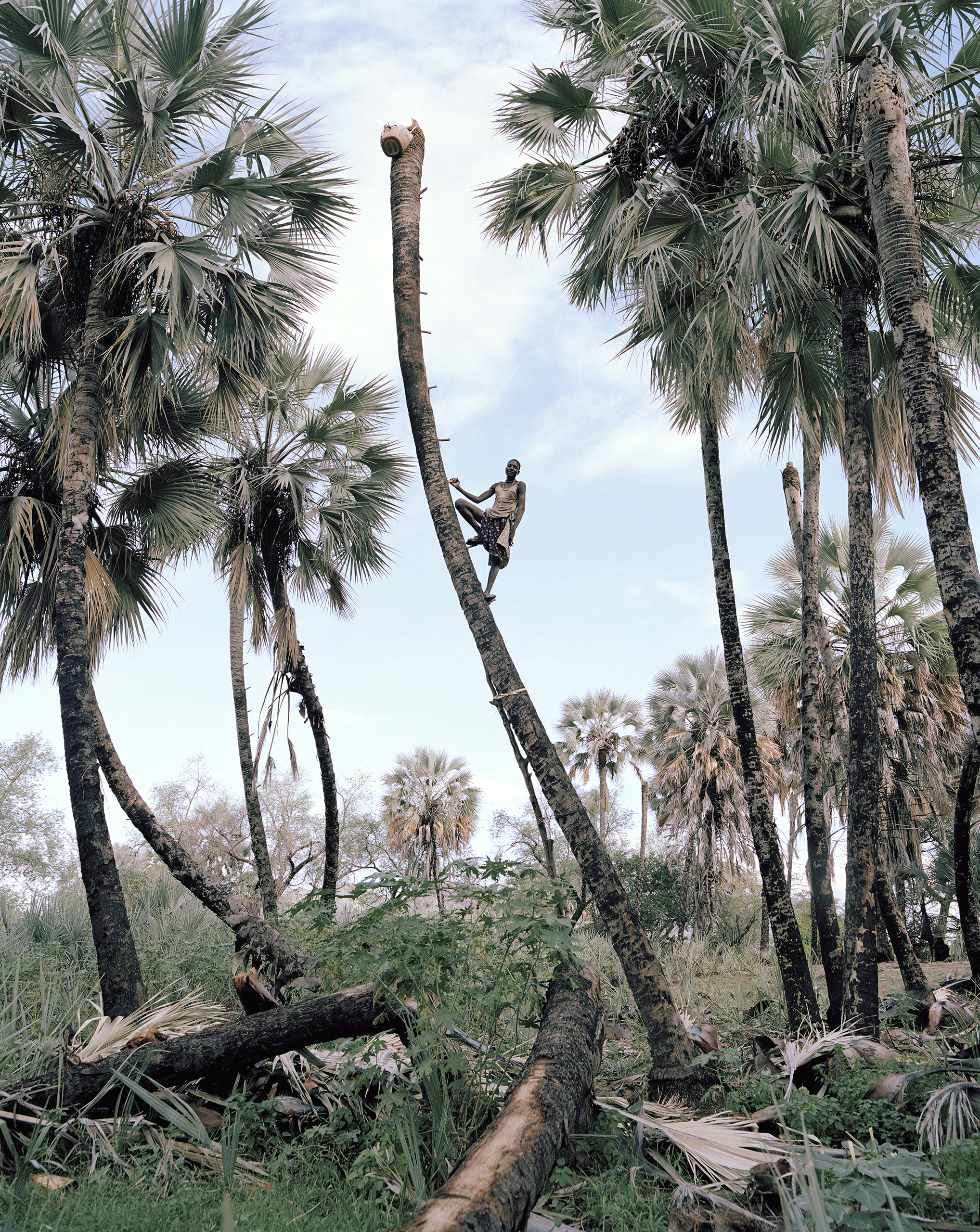 2-palm-wine-collectors-kyle-weeks-namibia-portrait