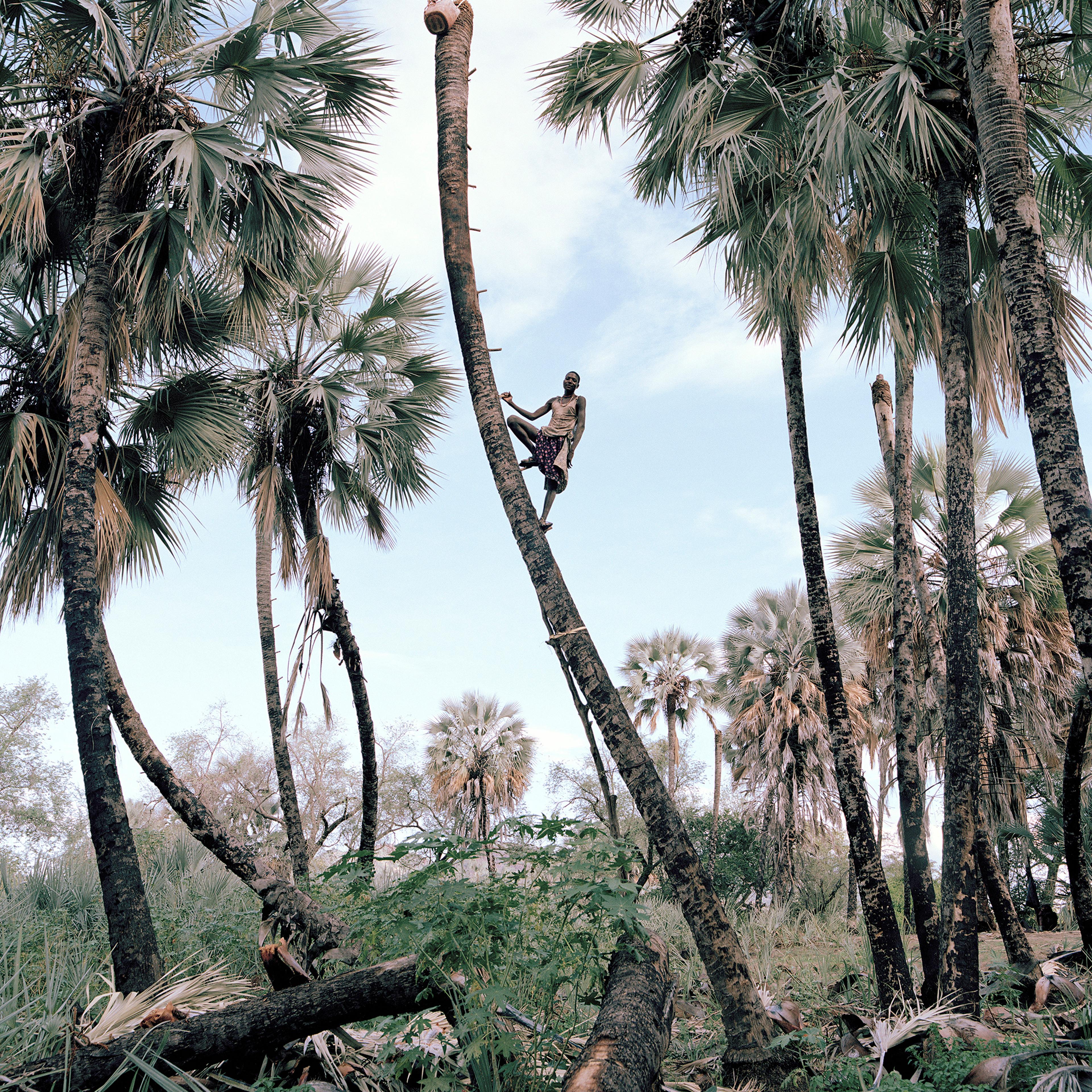 2-palm-wine-collectors-kyle-weeks-namibia-portrait