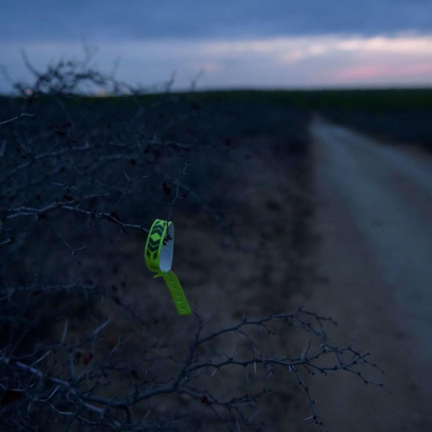 US-MEXICO-HONDURAS-GUATEMALA-IMMIGRATION-POLITICS