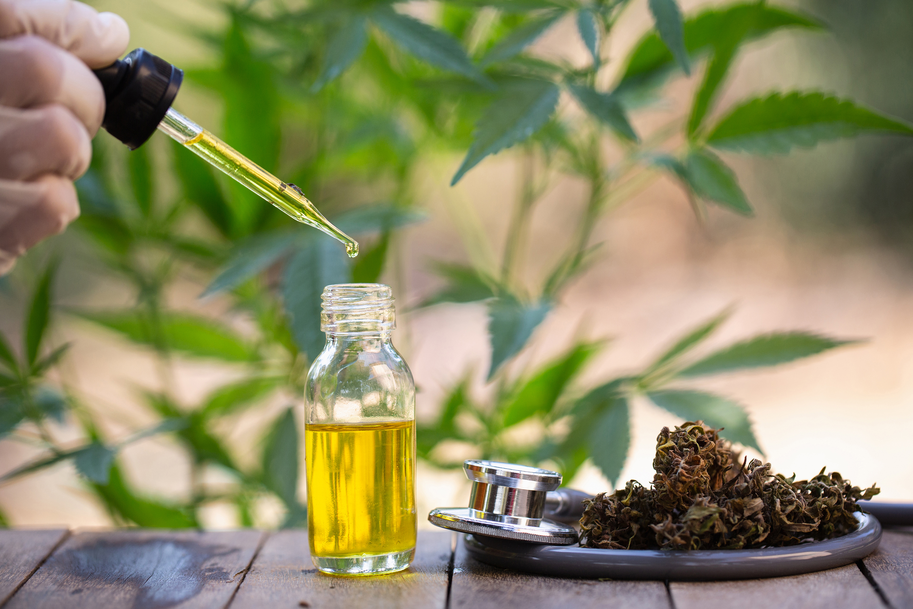 CBD oil