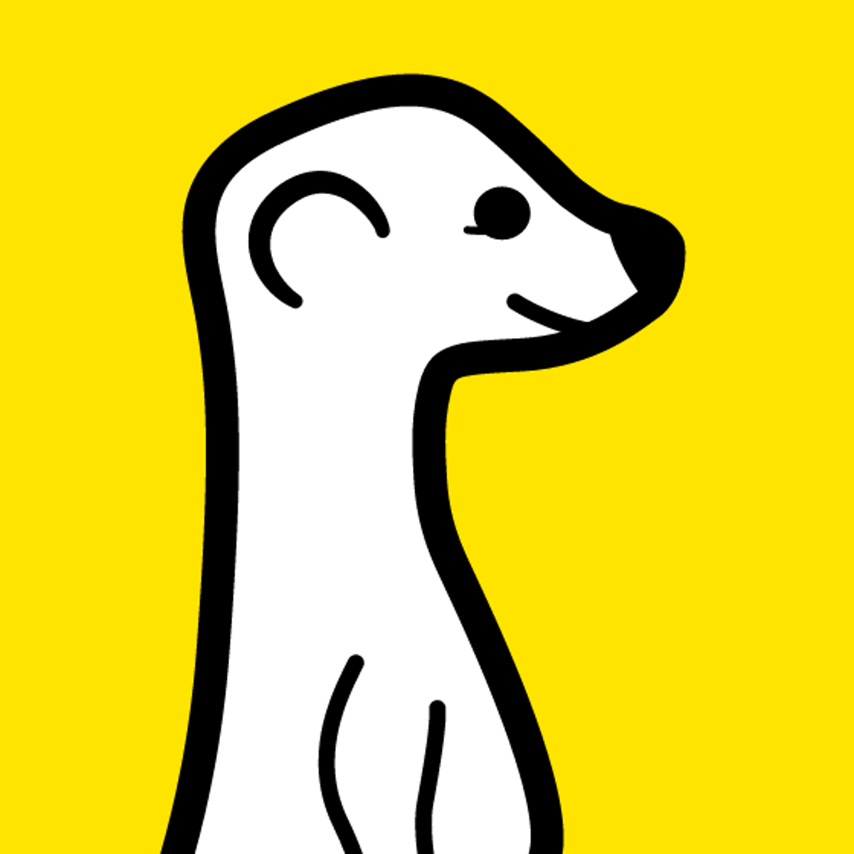 Meerkat