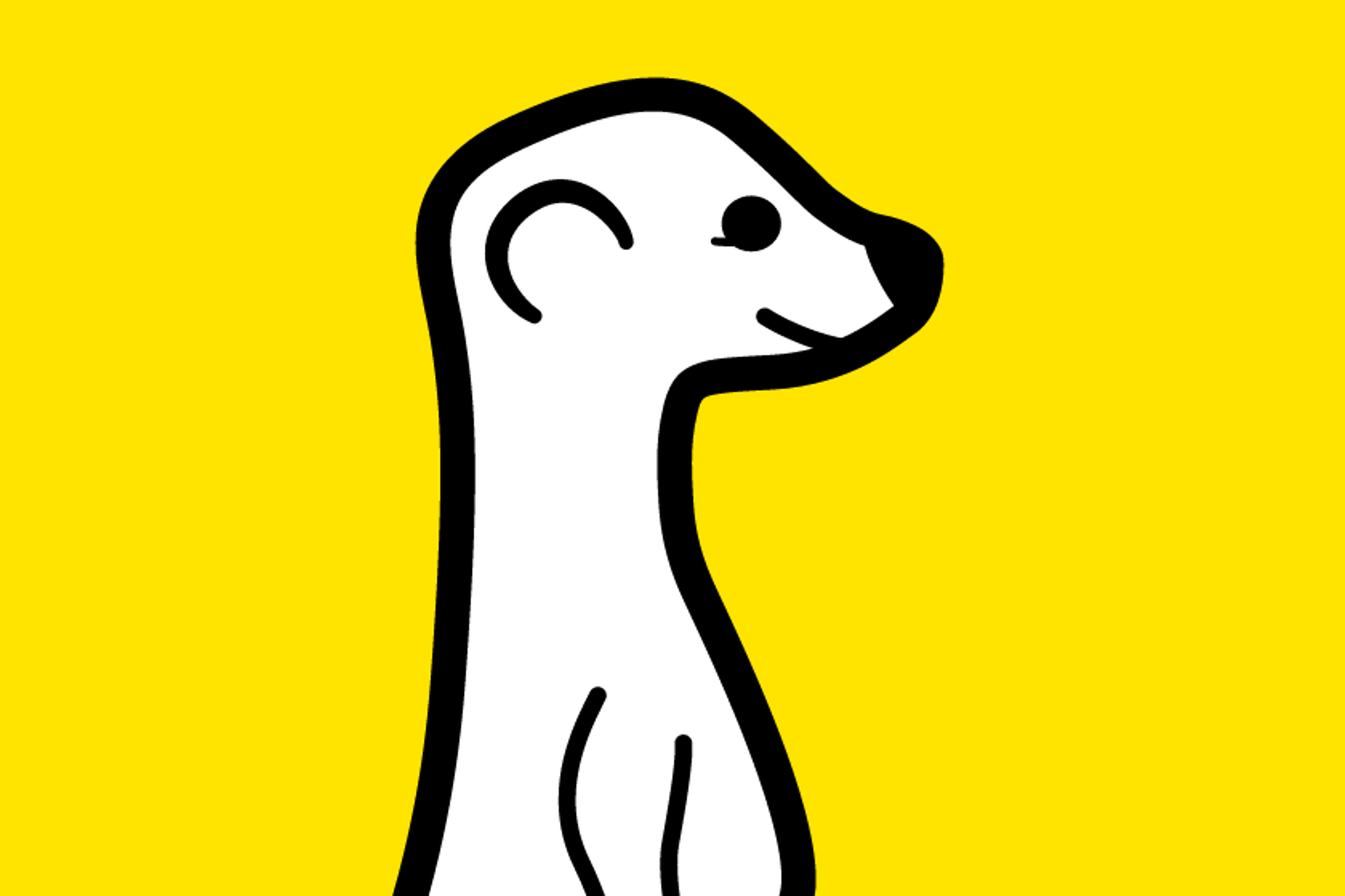 Meerkat