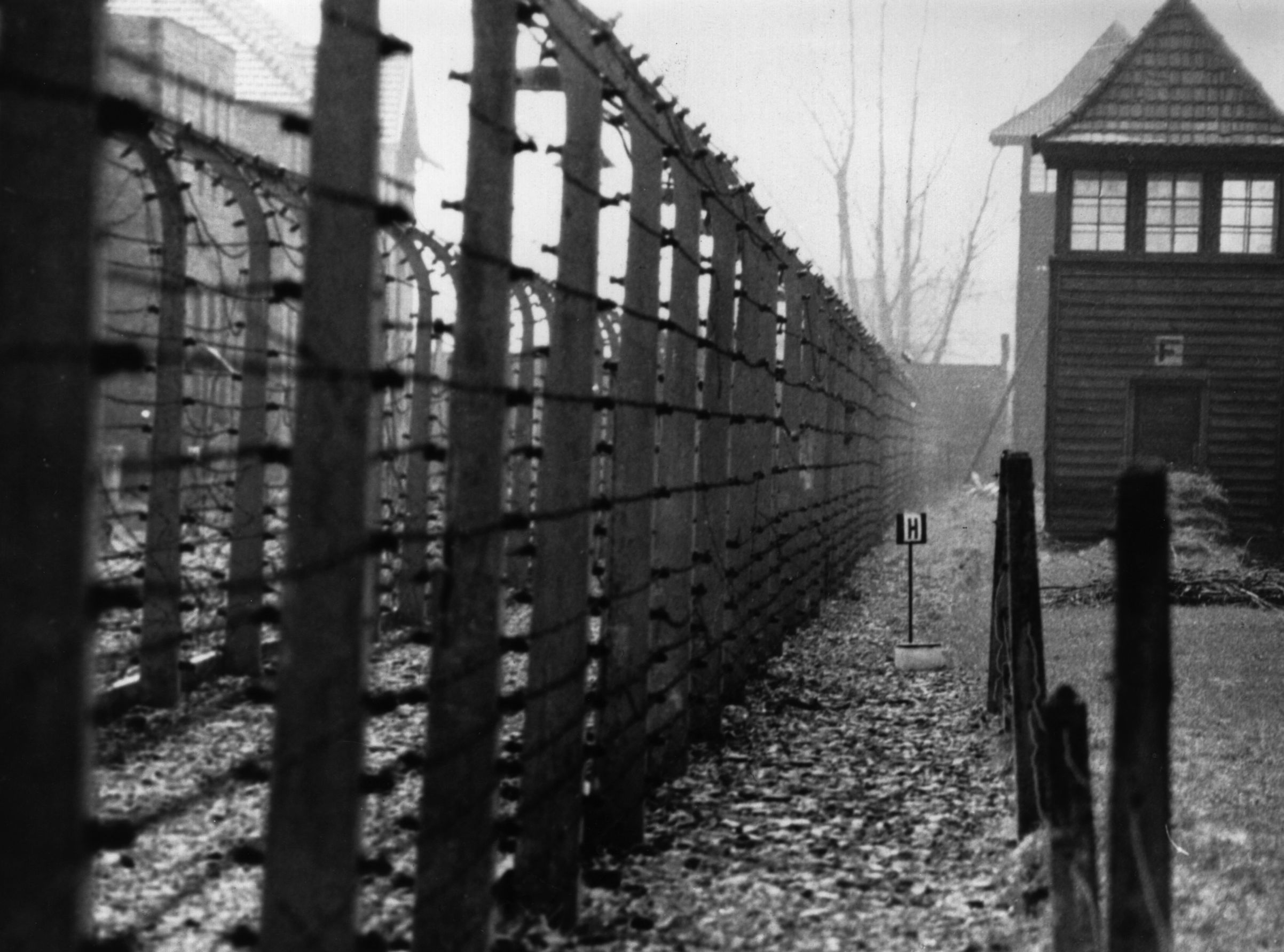 Auschwitz