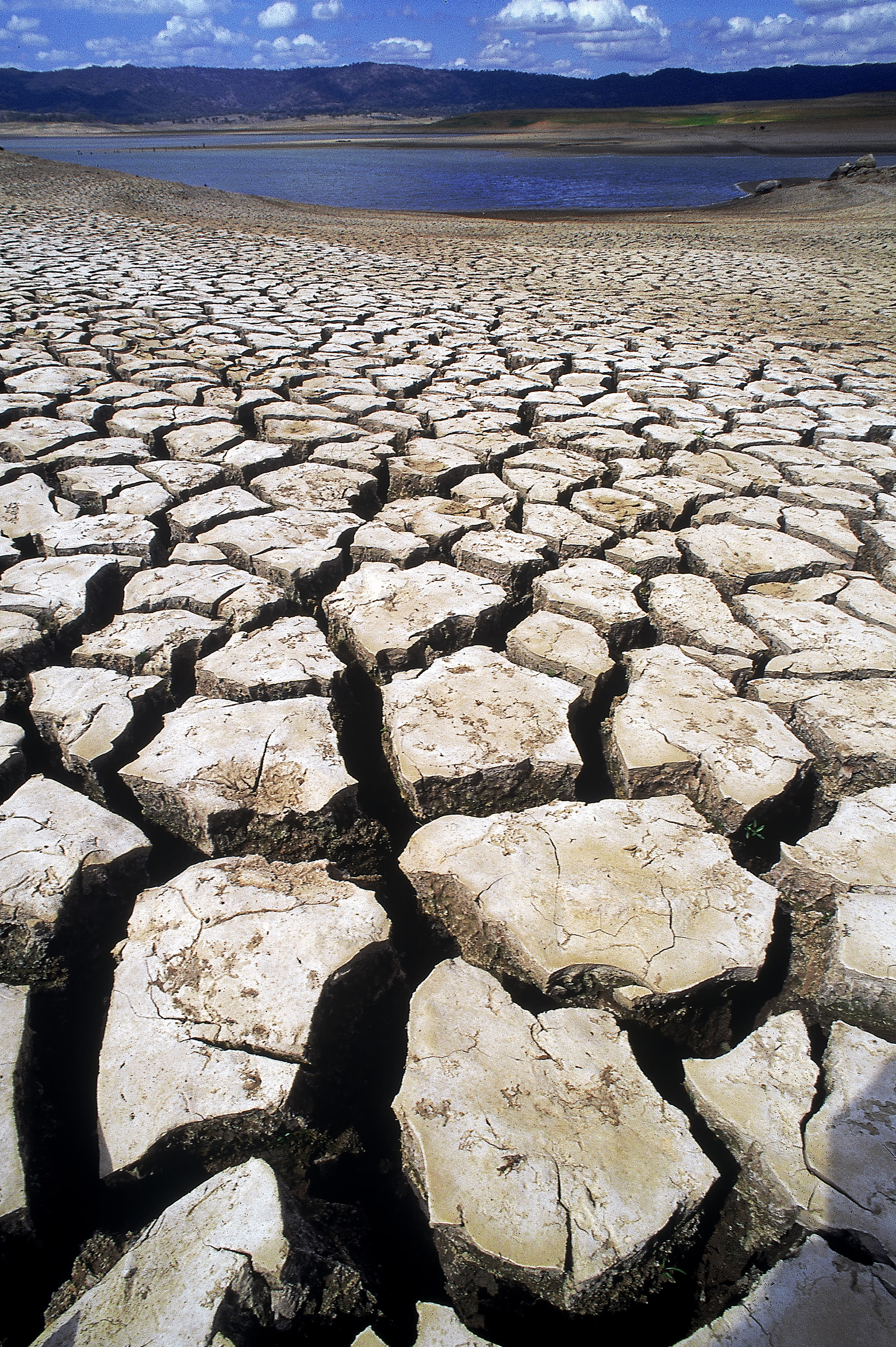 El Niño drought