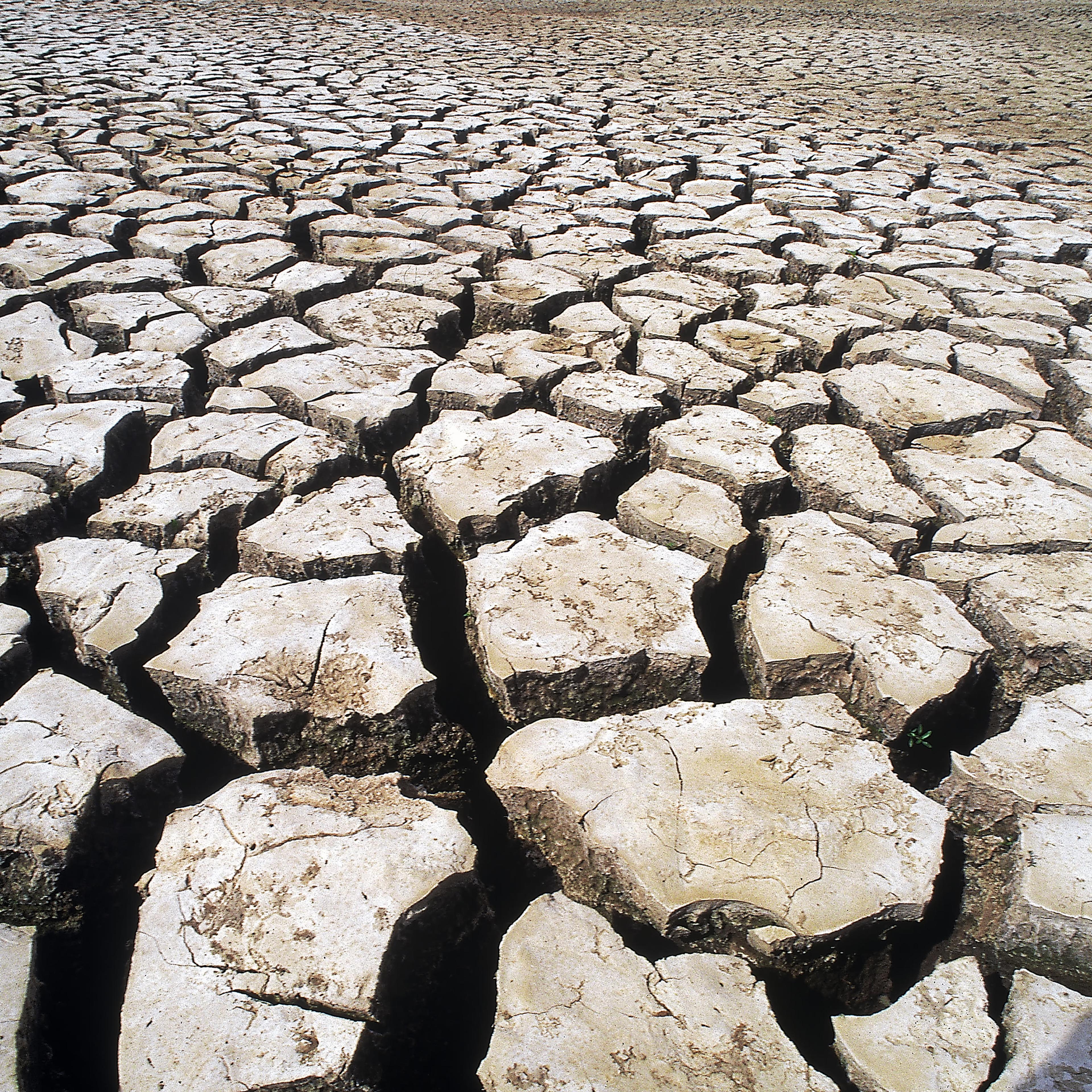 El Niño drought