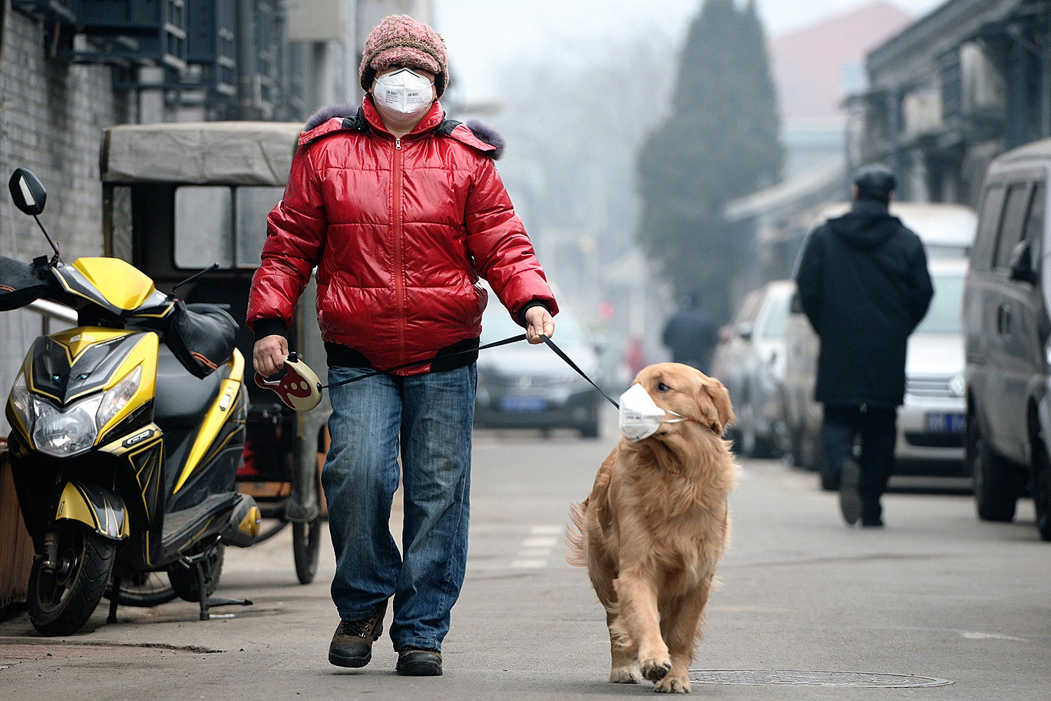 A man and his dog, both wearing masks, walk along a small alley on a hazy day in Beijing on Feb. 23, 2014