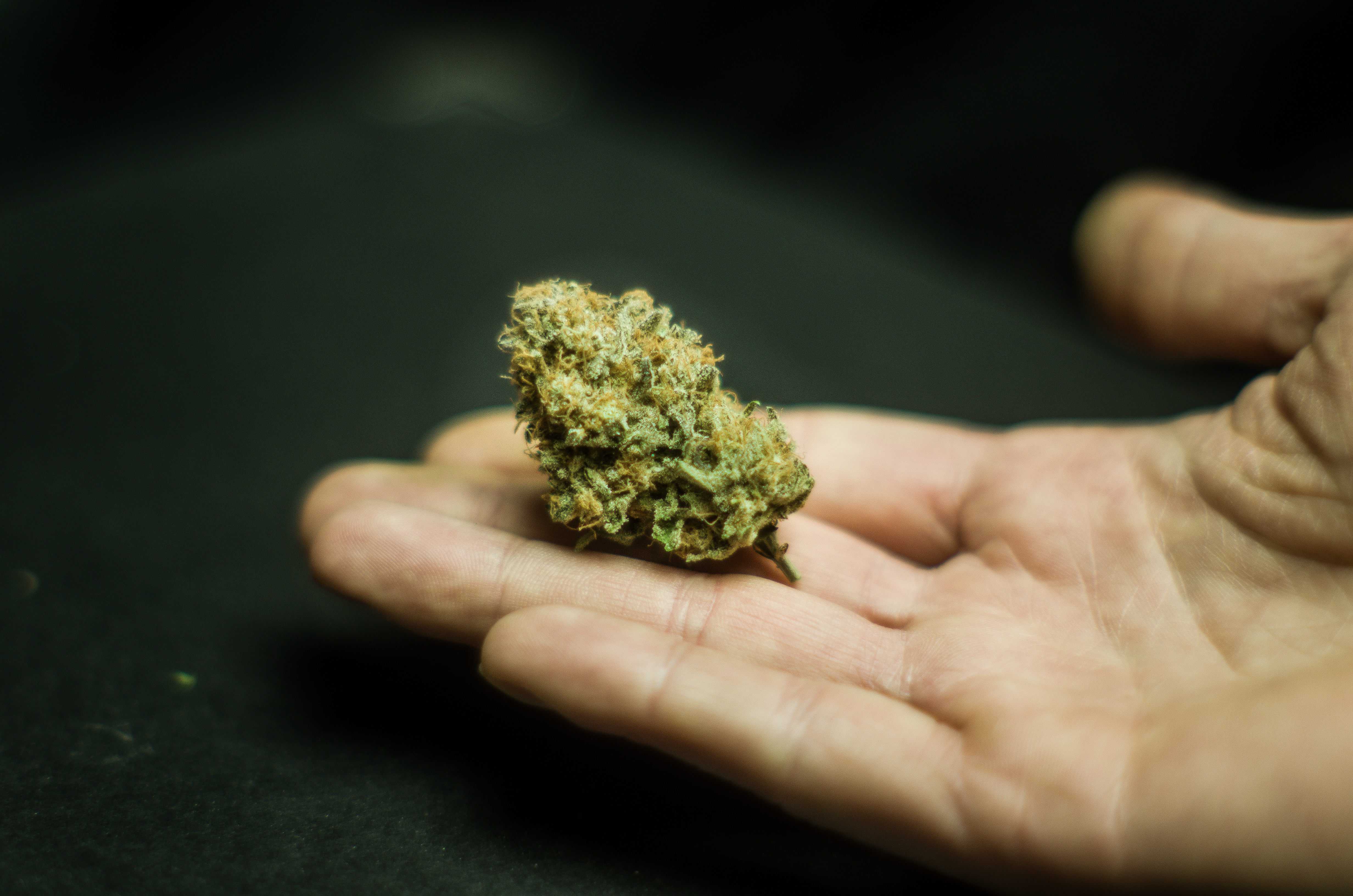 Close-Up Of Hand Marijuana On Table