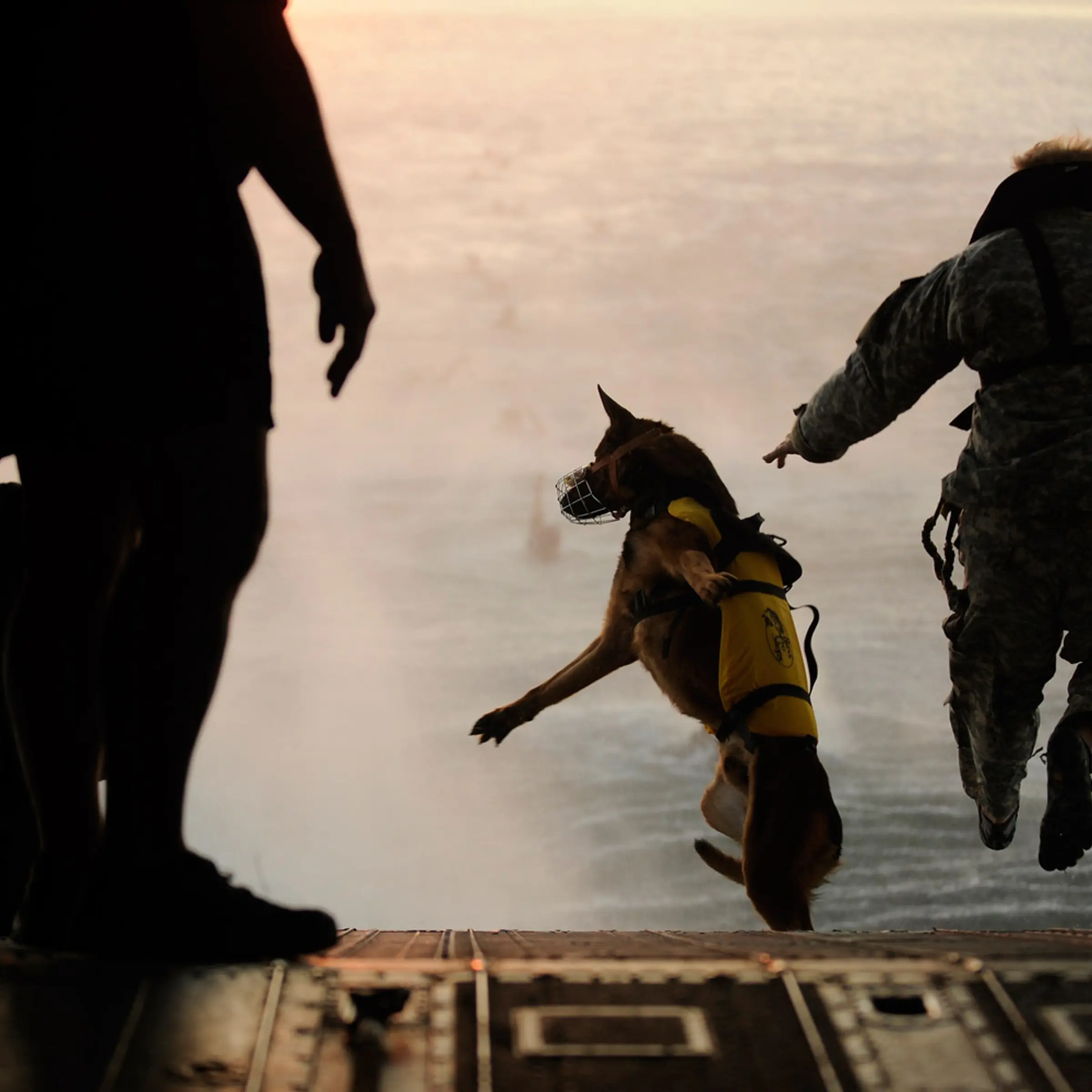 March 1, 2011. A U.S. Army soldier with the 10th Special Forces Group and his military working dog jump off the ramp of a CH-47 Chinook helicopter from the 160th Special Operations Aviation Regiment during water training over the Gulf of Mexico as part of exercise Emerald Warrior 2011.