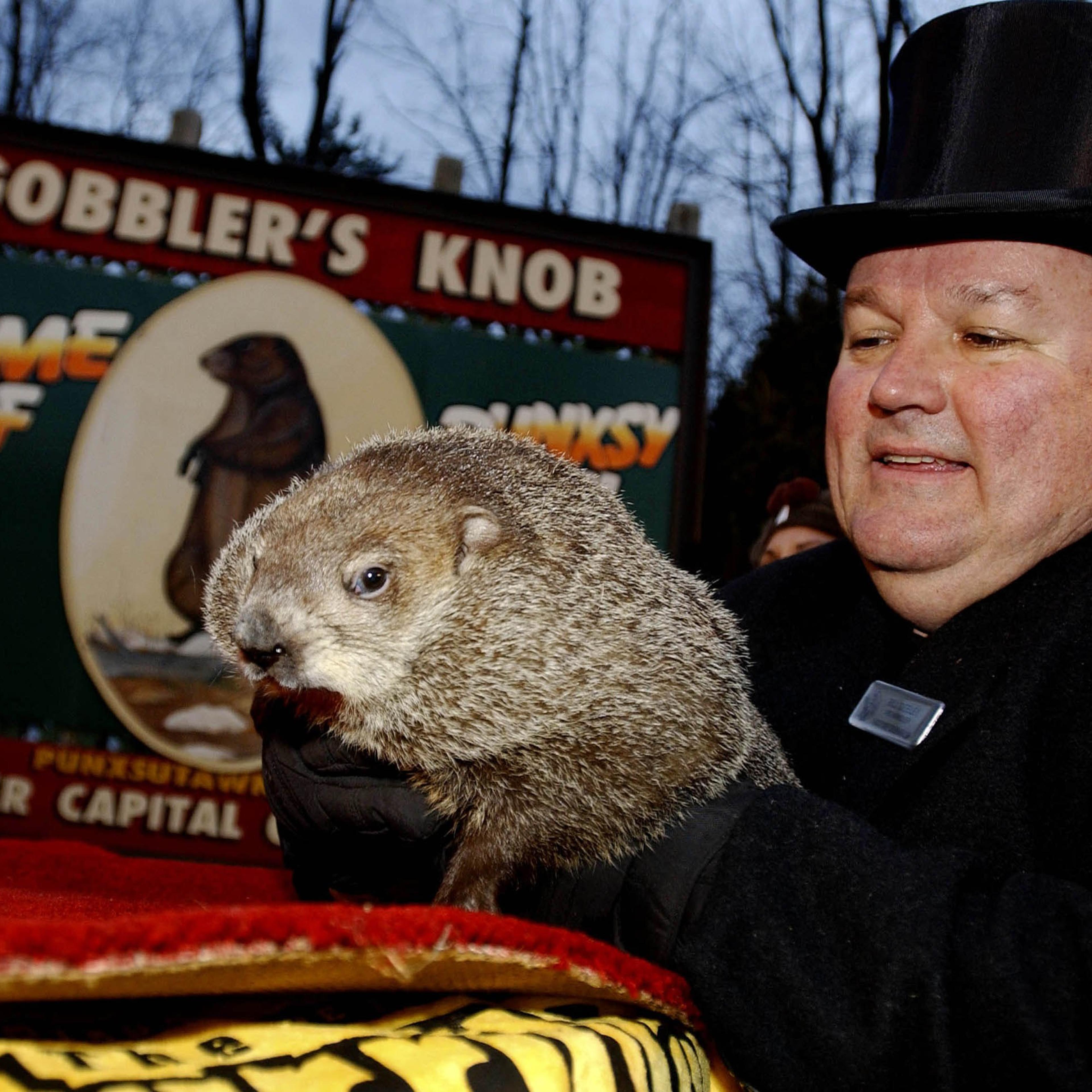 Punxsutawney Phil Makes Annual Groundhog Day Appearance