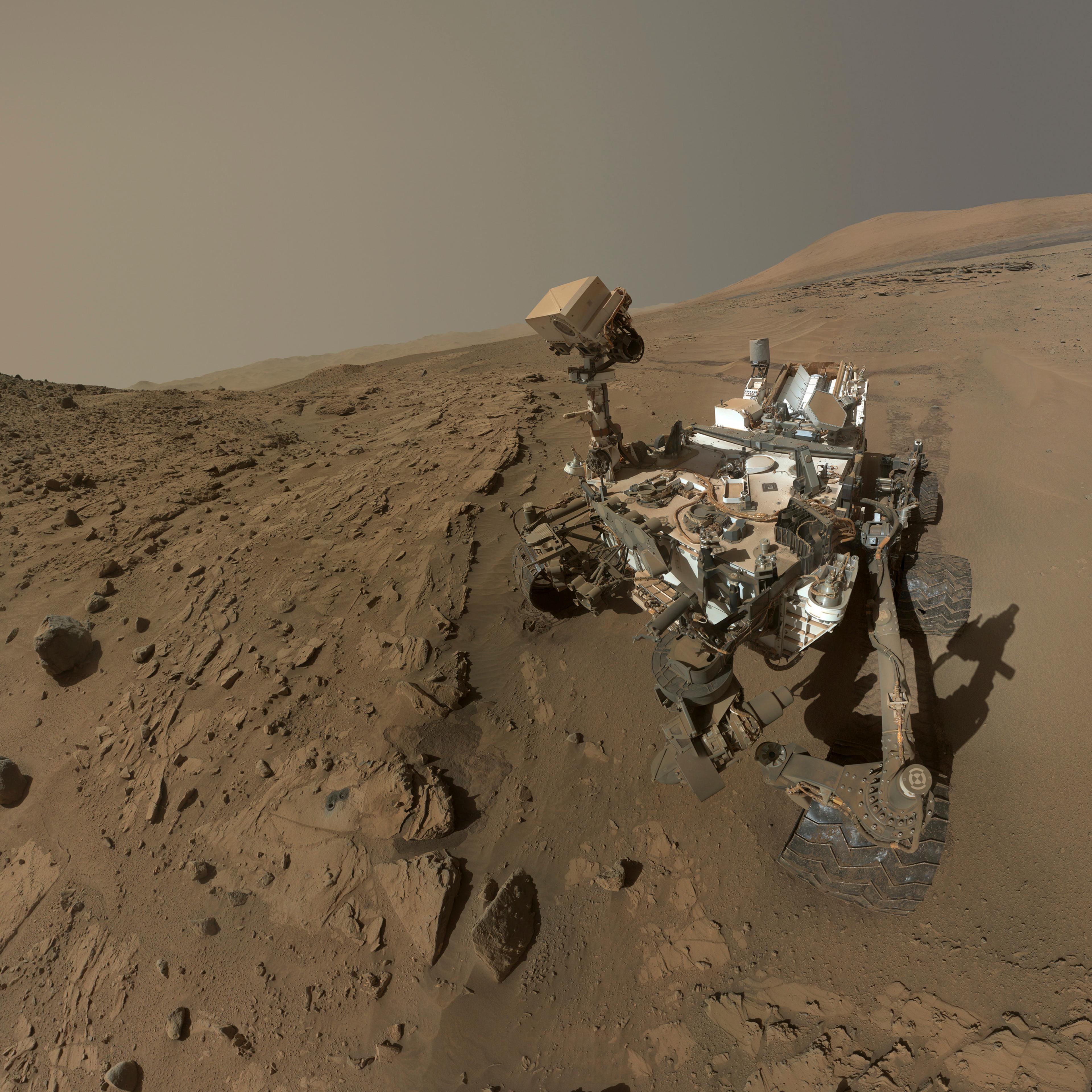 NASA's Mars Curiosity rover is pictured in this self-portrait where the rover drilled into a sandstone target called "Windjana" on Mars in this handout photo. June 2014.