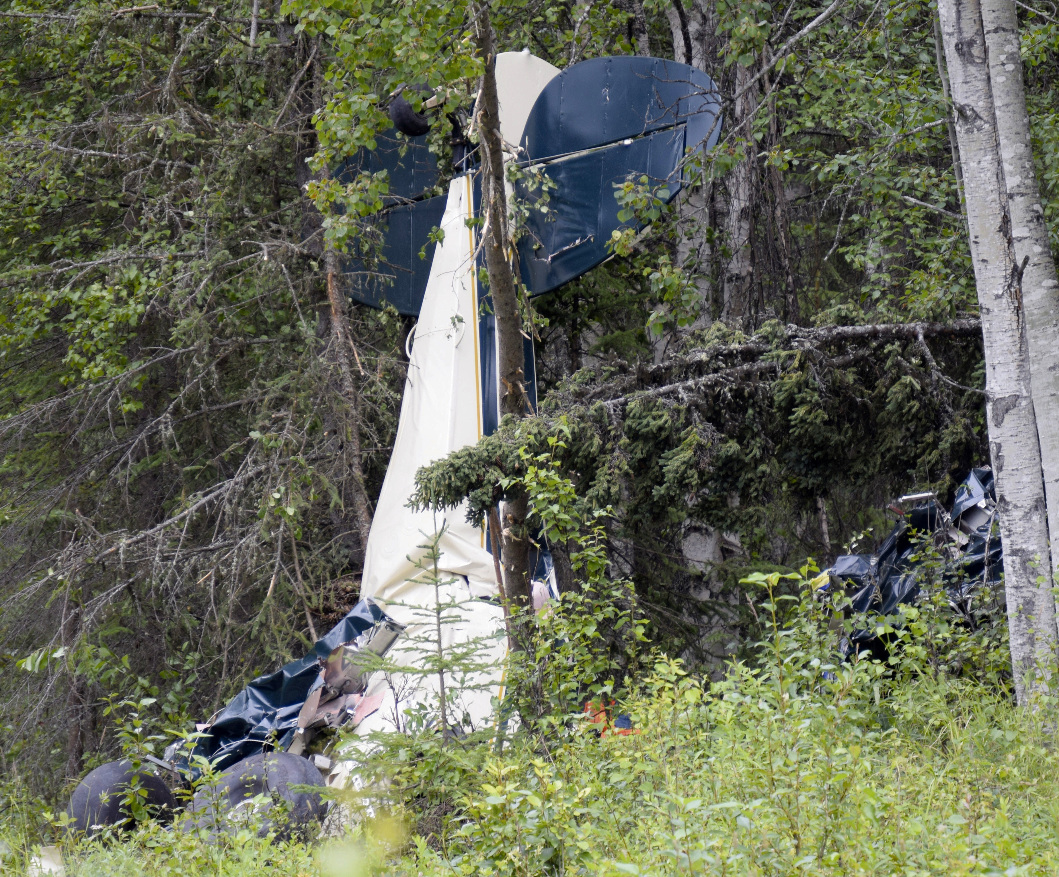 Alaska Mid Air Collision