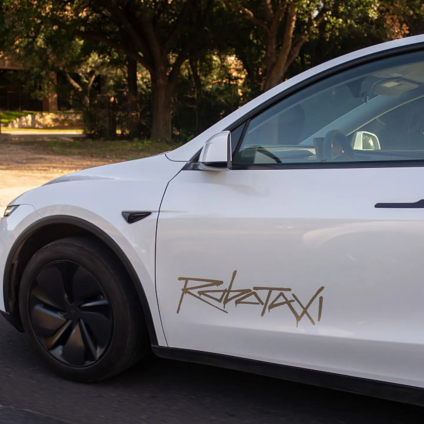 Tesla To Roll Out Robotaxis In Overdue Step Toward Musk Dream