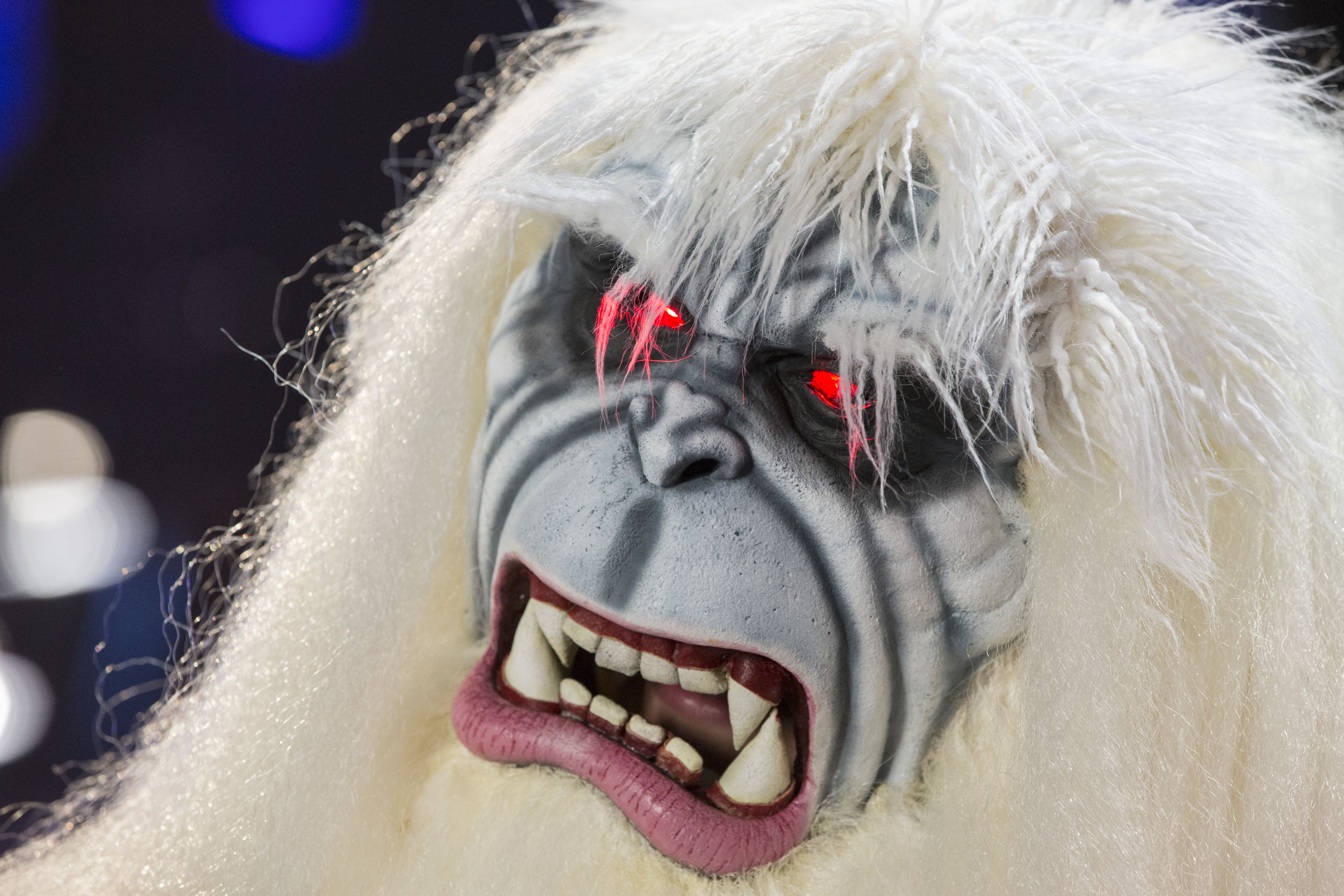 Inside The D23 Expo 2015