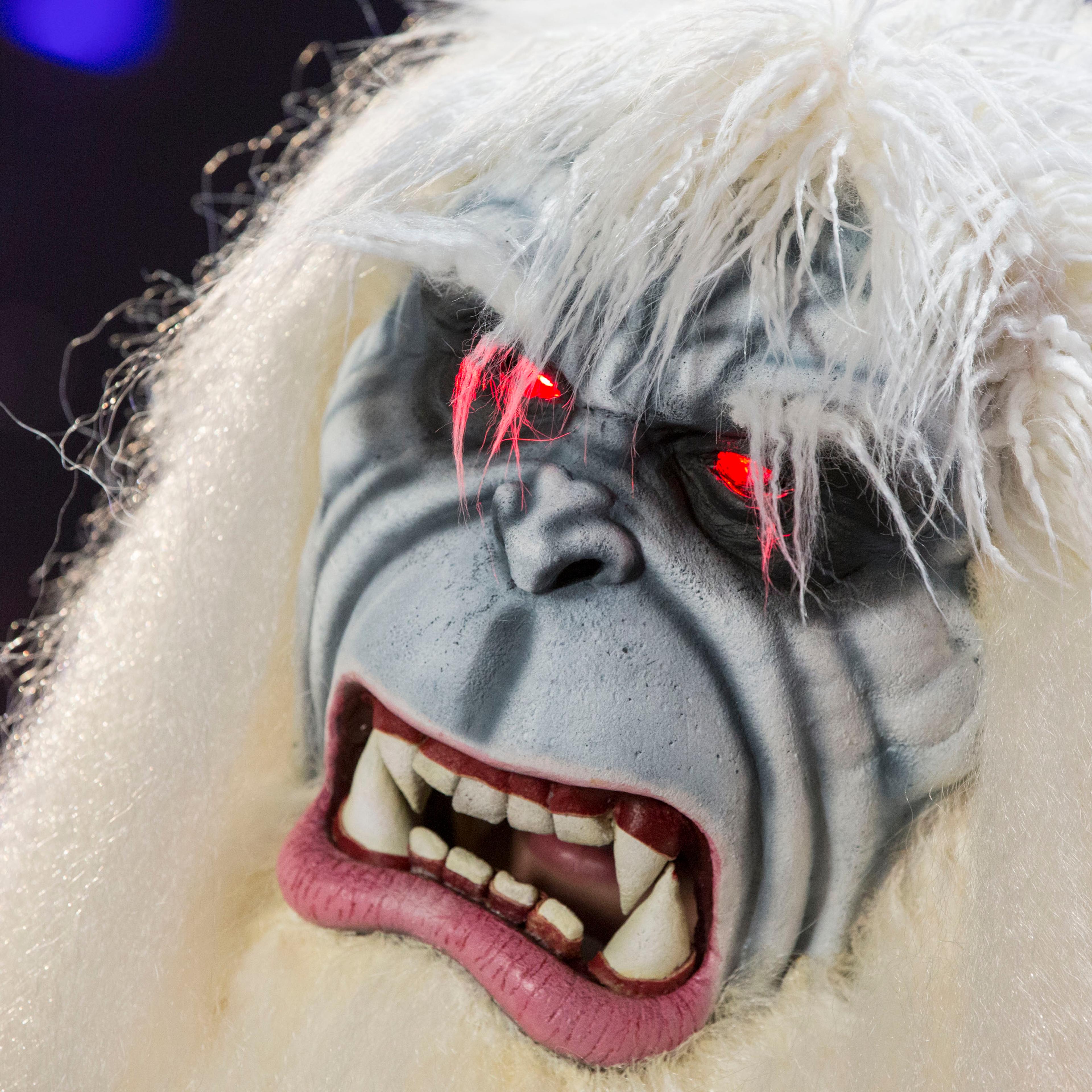 Inside The D23 Expo 2015