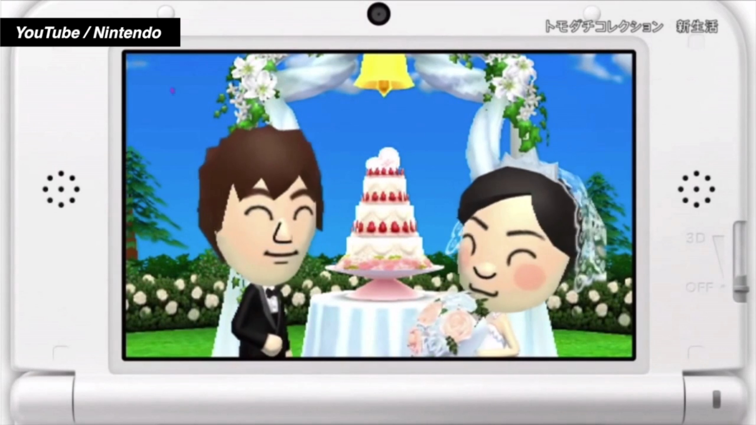 Nintendo Tomodachi Gay Marriage