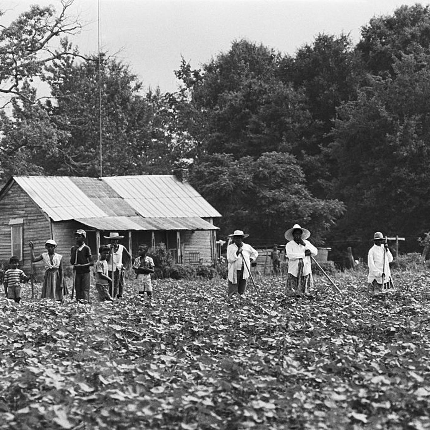 Tenant Farmer Family Standing in Field