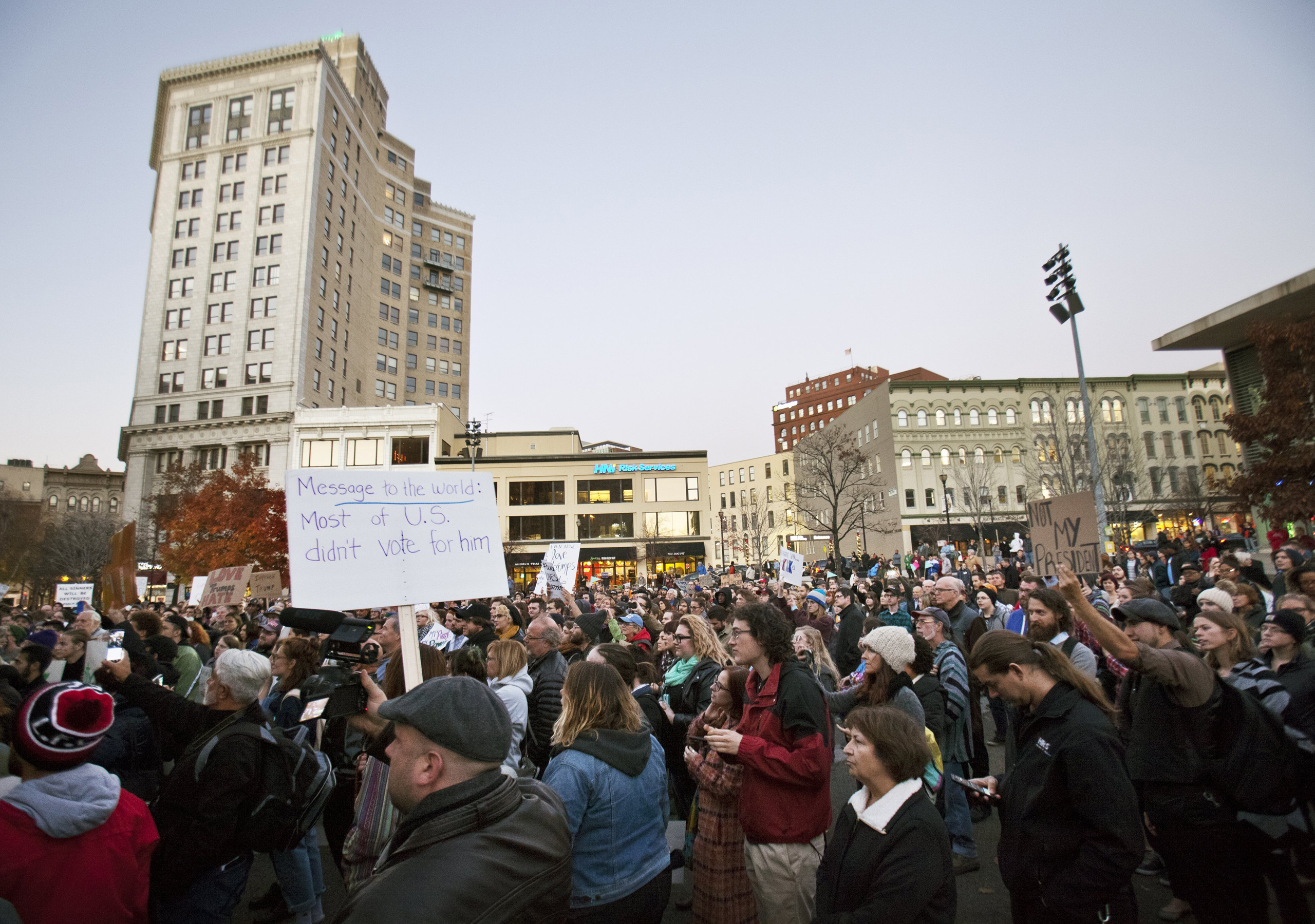 Election Protest Michigan