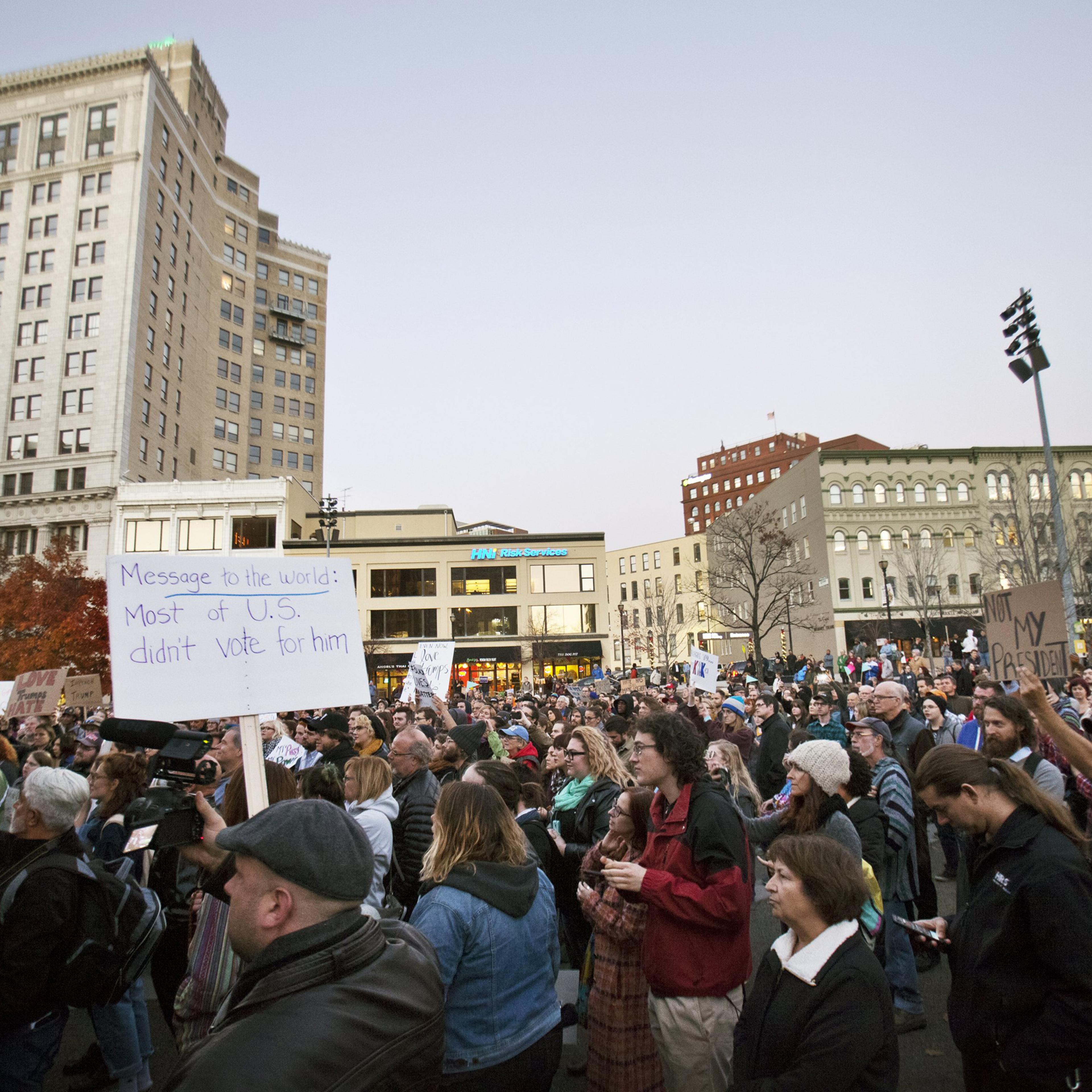 Election Protest Michigan