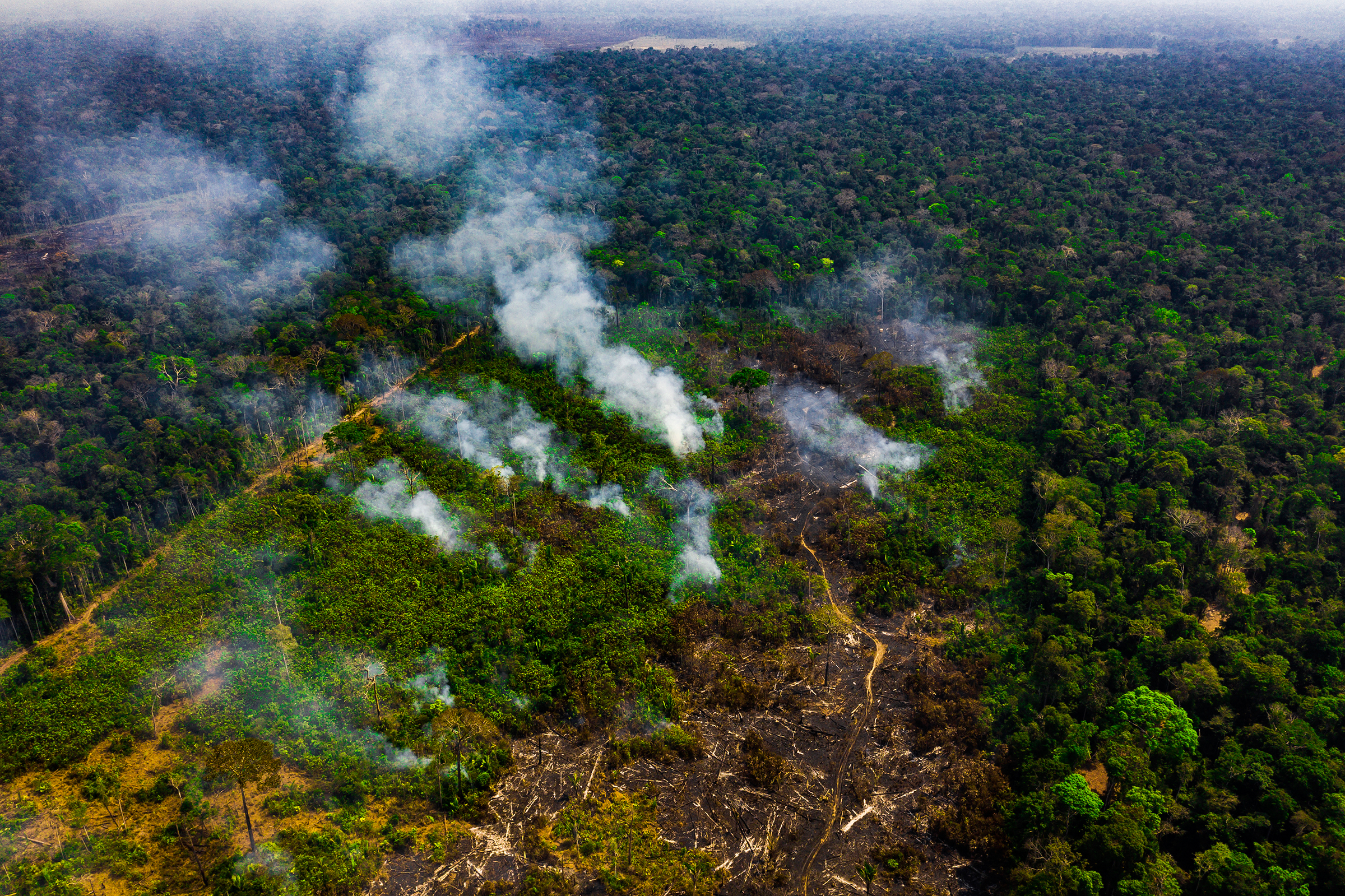 The fires in August 2019 were not limited to private land but also broke out in protected areas, including the Jacundá National Forest in Rondônia.