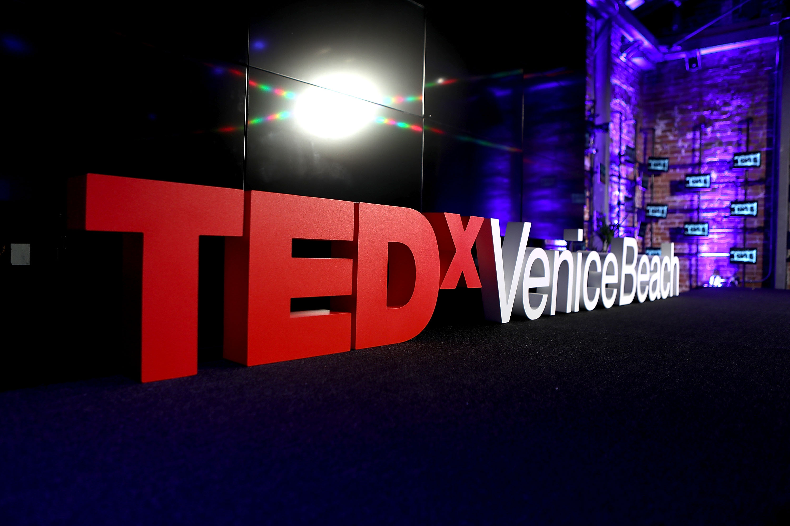 TEDxVeniceBeach - Wild Thoughts