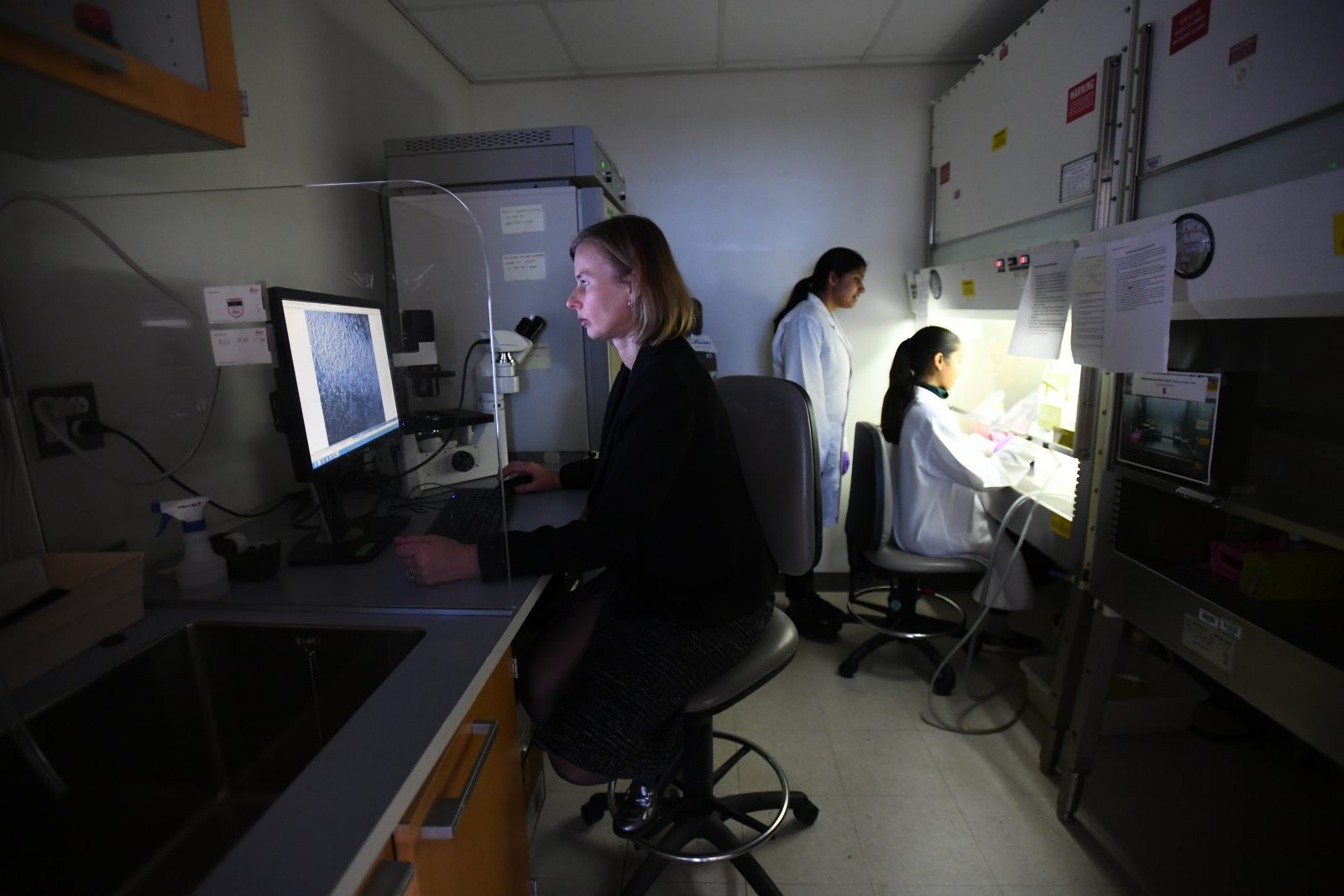 Dr. Ula Jurkunas in the laboratory