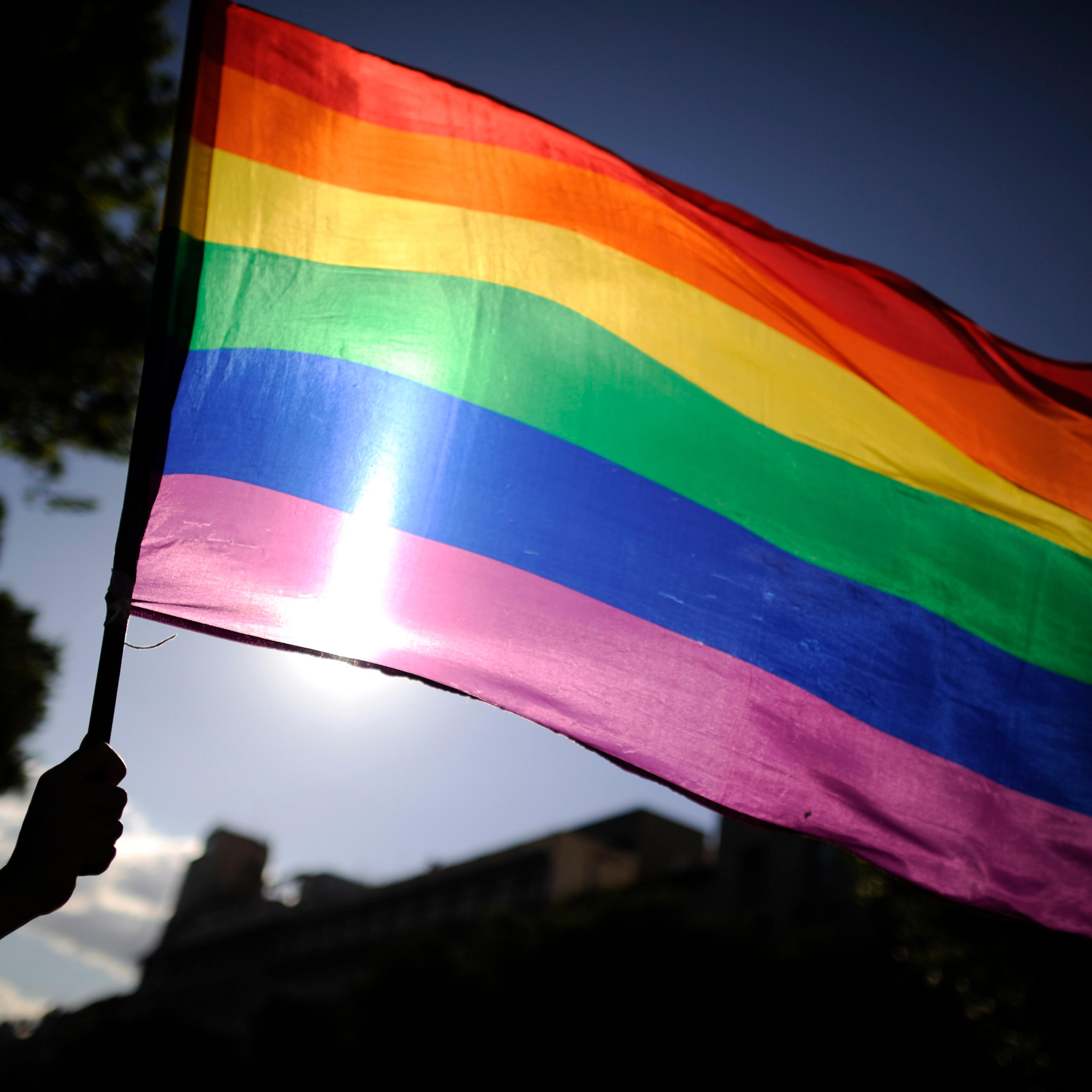 A participants holds a rainbow flag duri