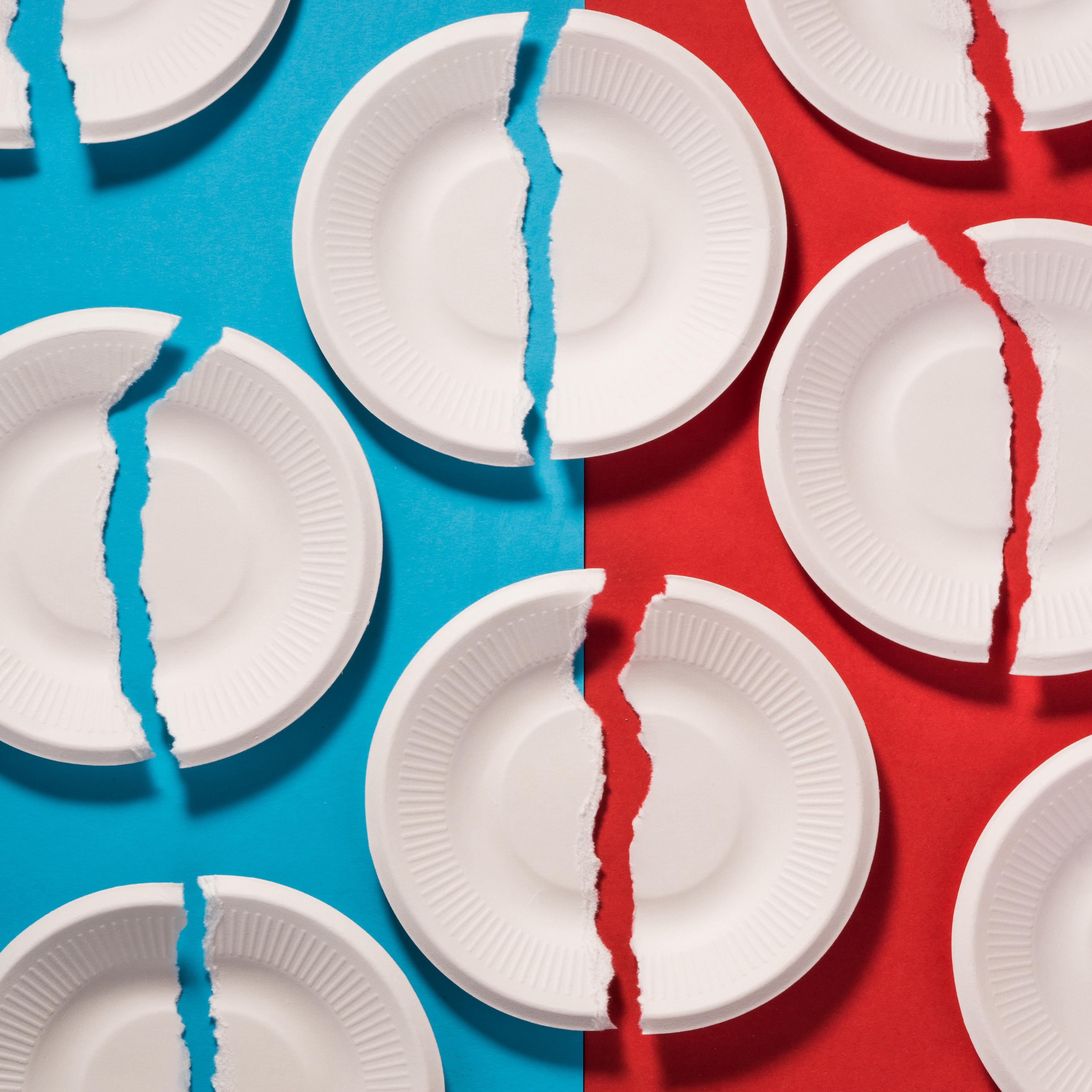 Broken Paper Plates