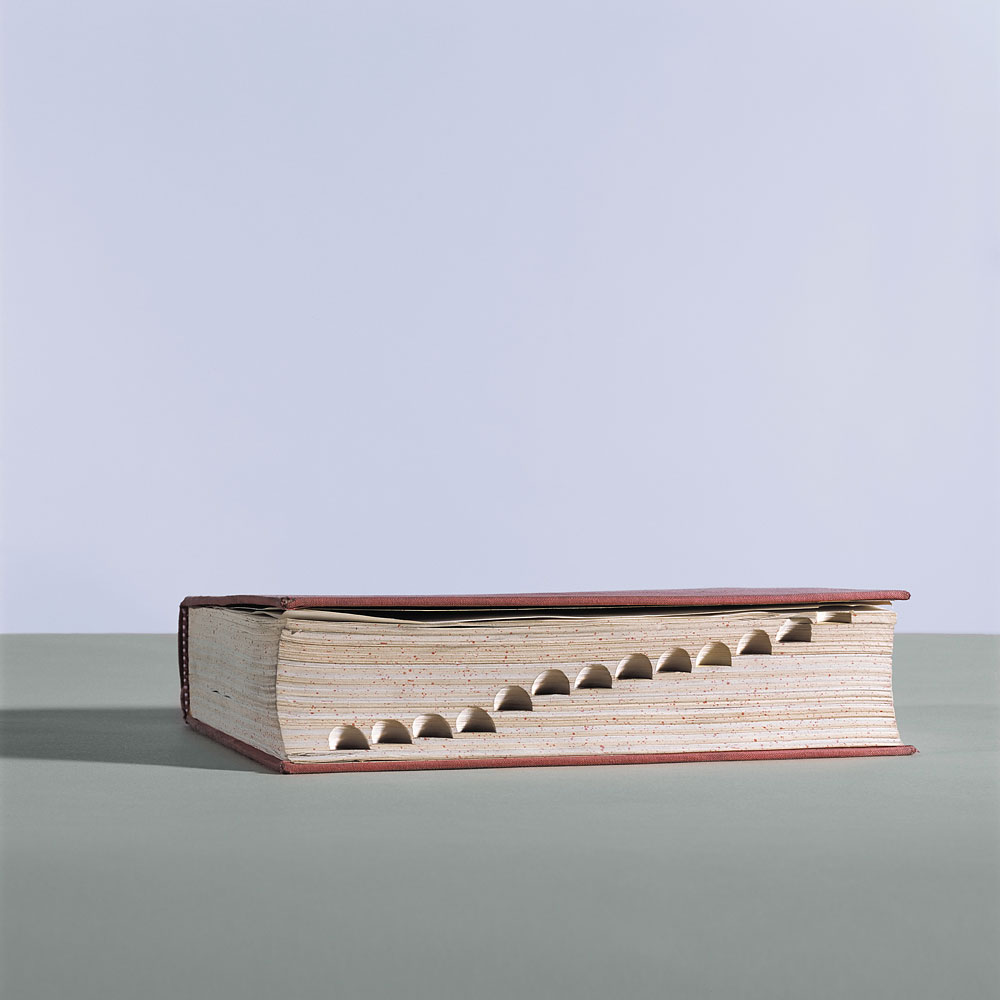 Dictionary