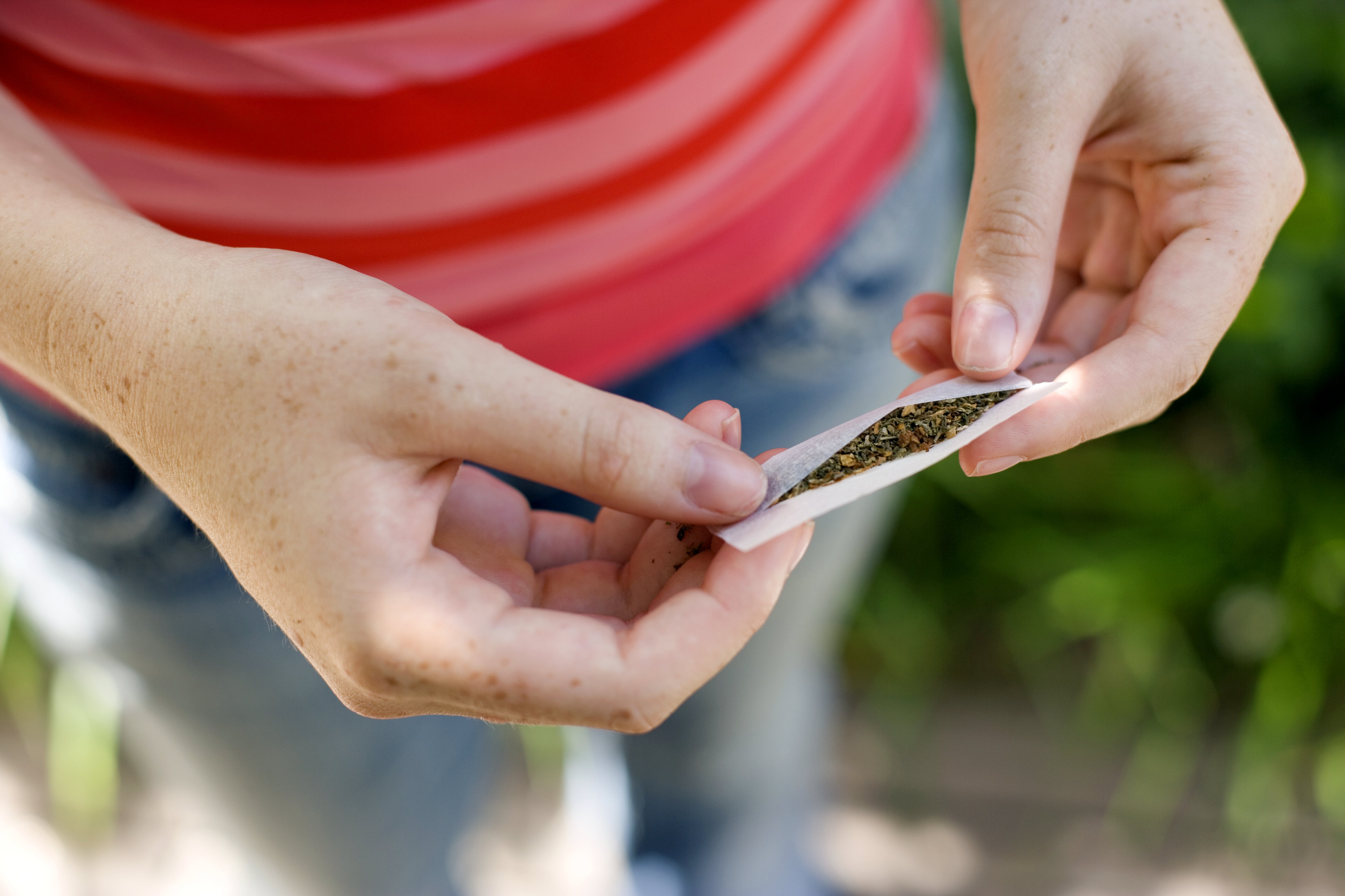 Girl holding marijuana in hand , close-up