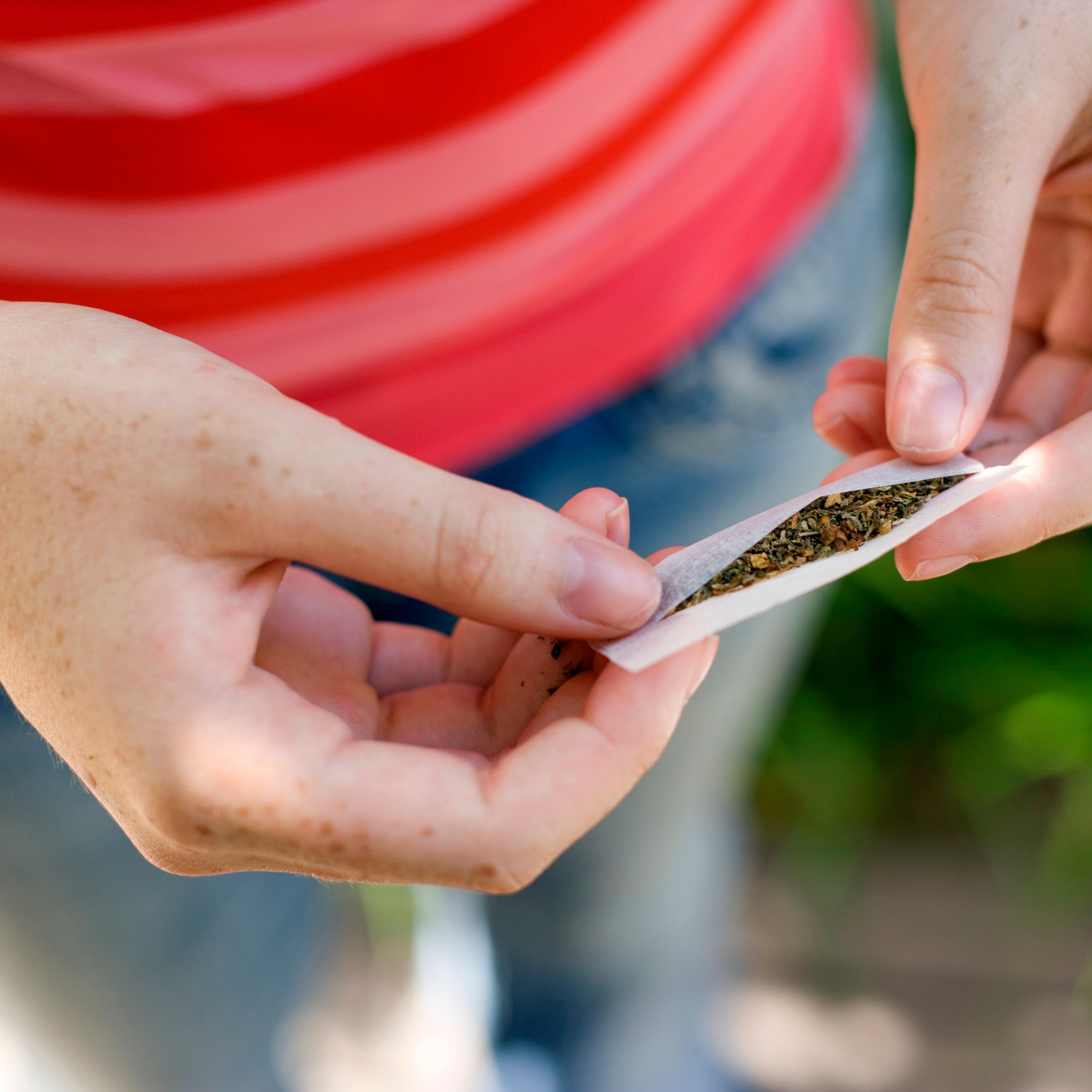Girl holding marijuana in hand , close-up