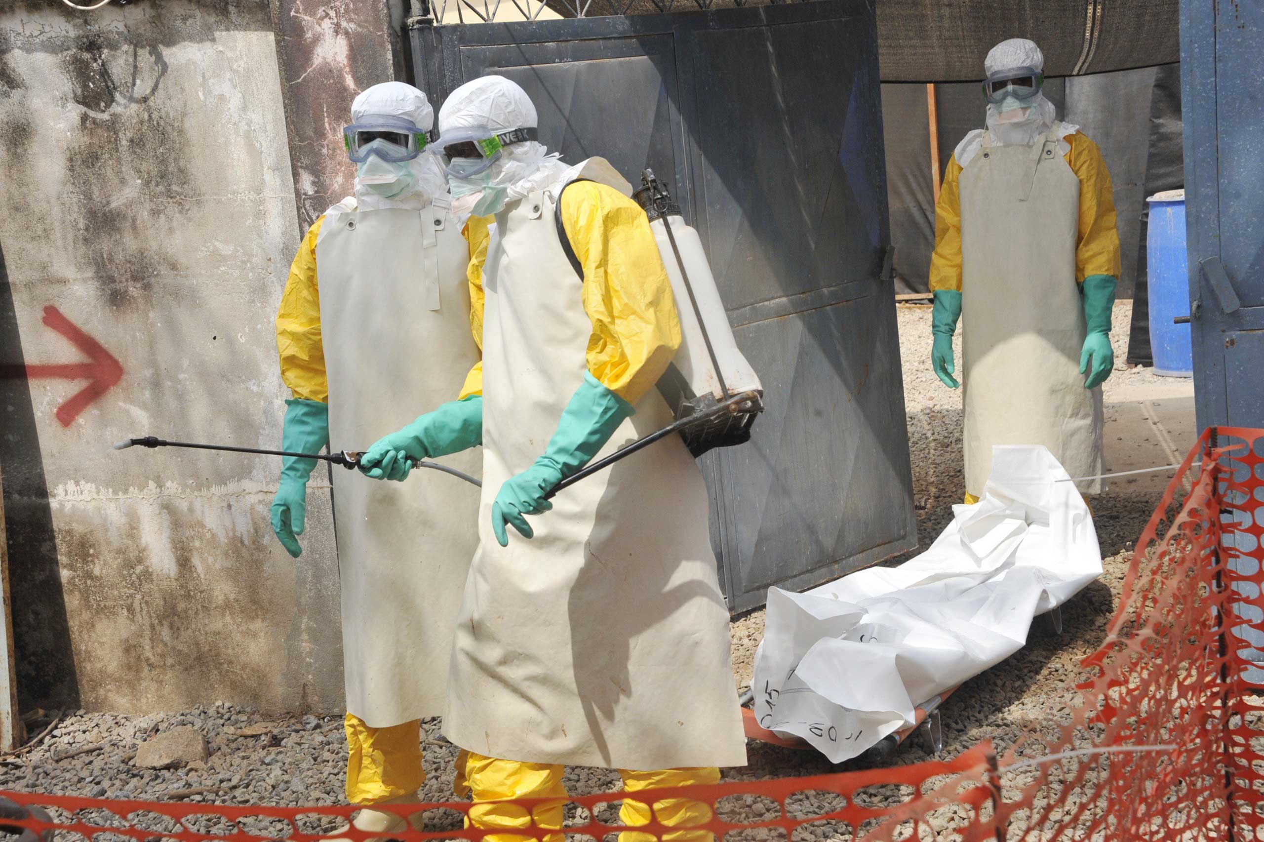 Members of the Guinean Red Cross move the body of a person who died from the Ebola virus on March 8, 2015 at the Donka hospital in Conakry.