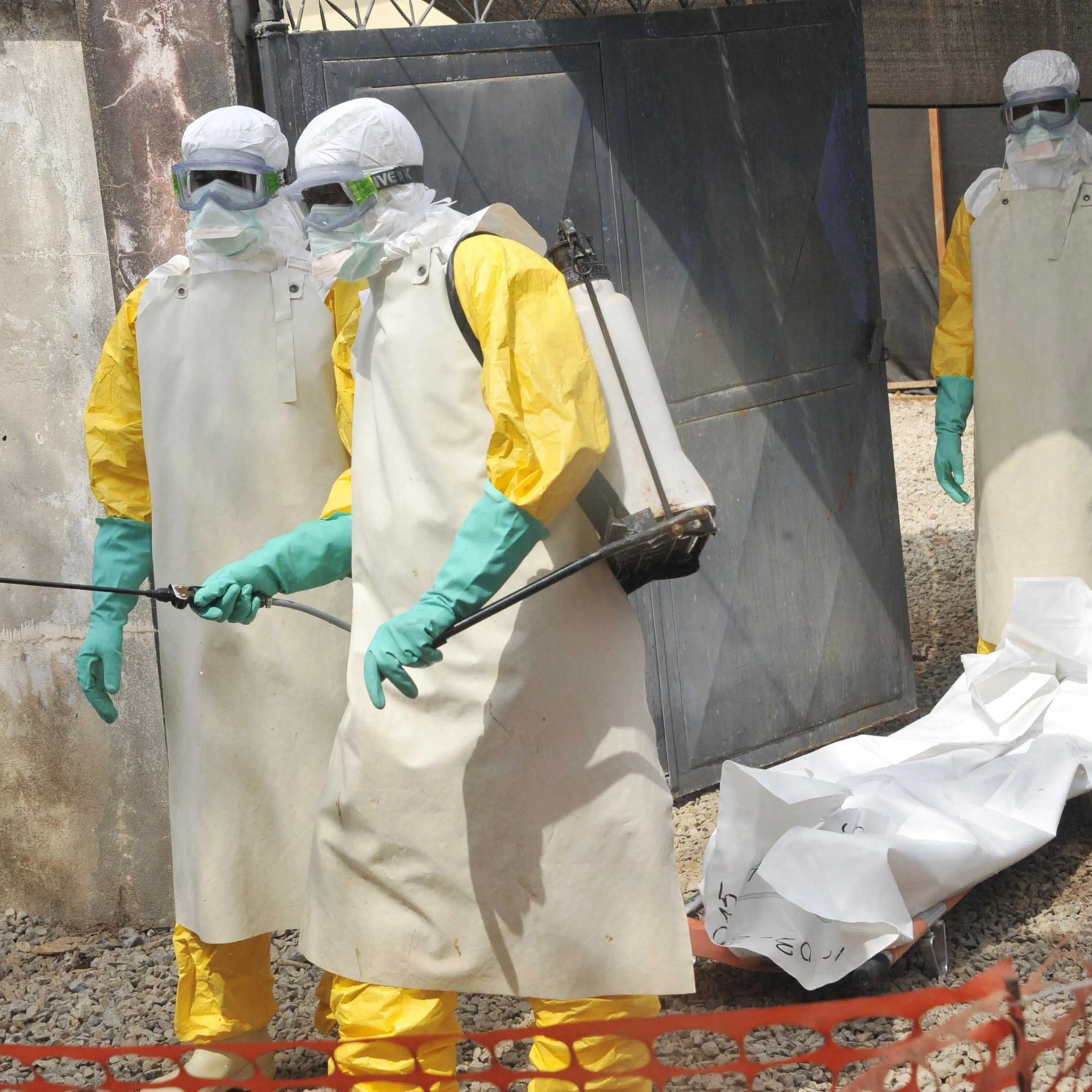 Members of the Guinean Red Cross move the body of a person who died from the Ebola virus on March 8, 2015 at the Donka hospital in Conakry.