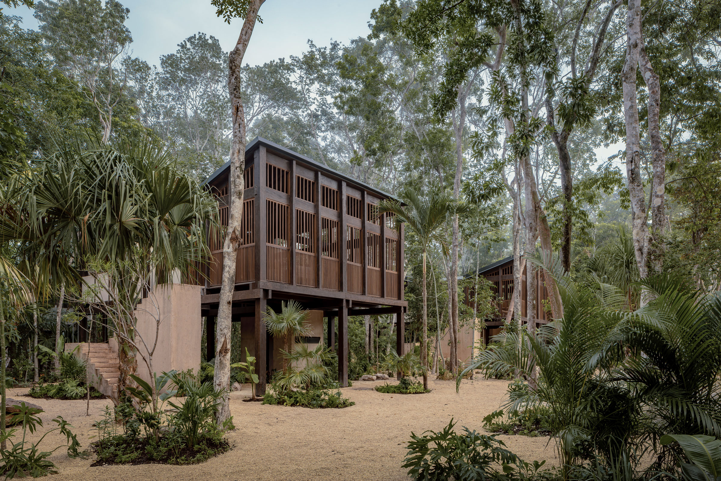 Treehouse accommodations at Boca de Agua