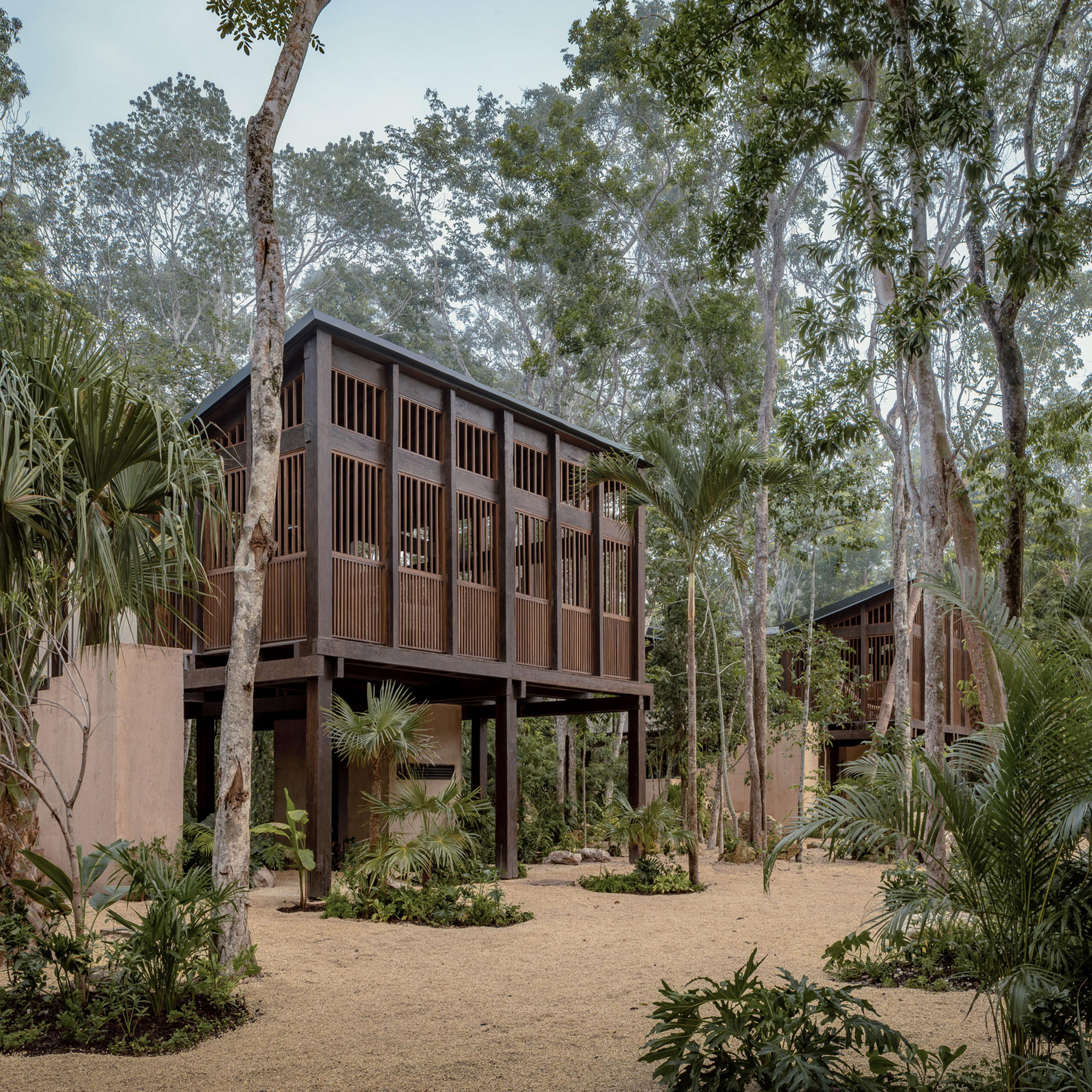 Treehouse accommodations at Boca de Agua