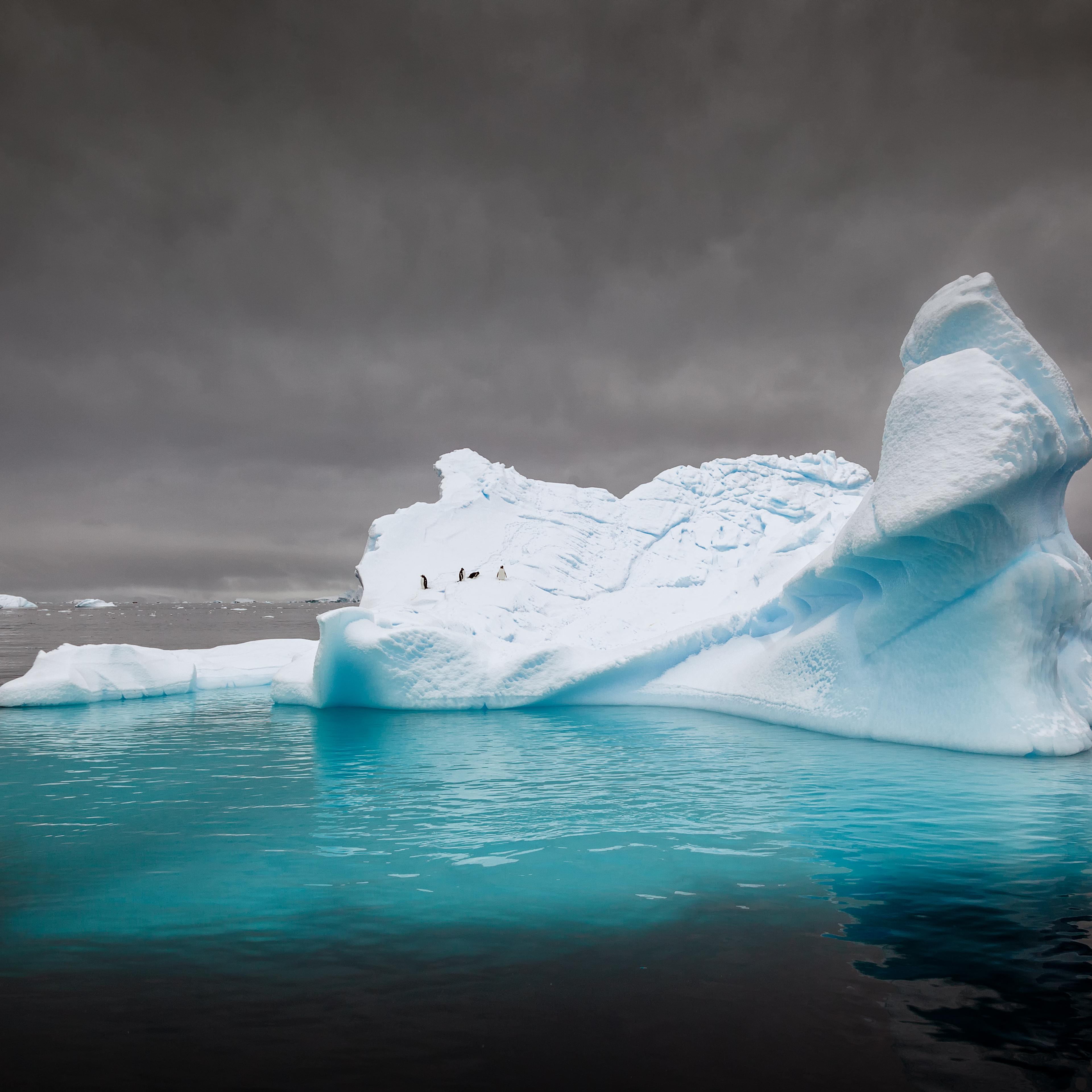 Grandma swept out to sea on iceberg becomes hero.
