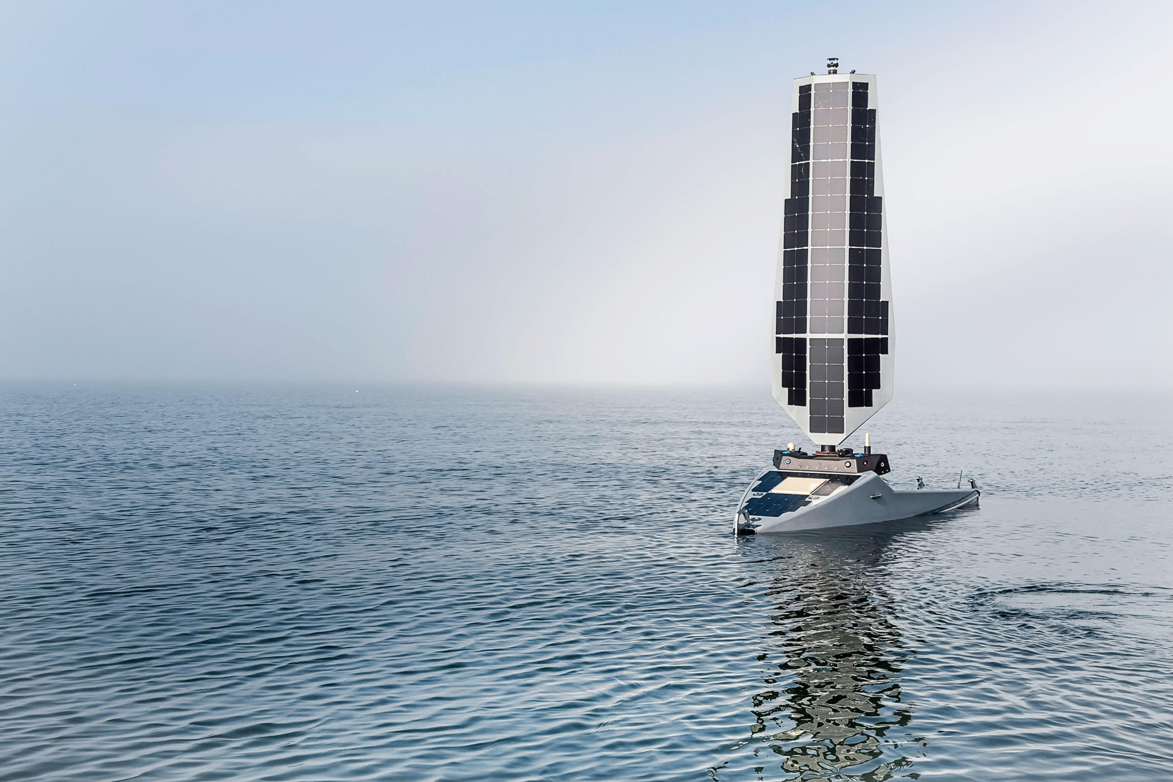 A New Wave of Investors Sees Profit in Ocean Conservation
