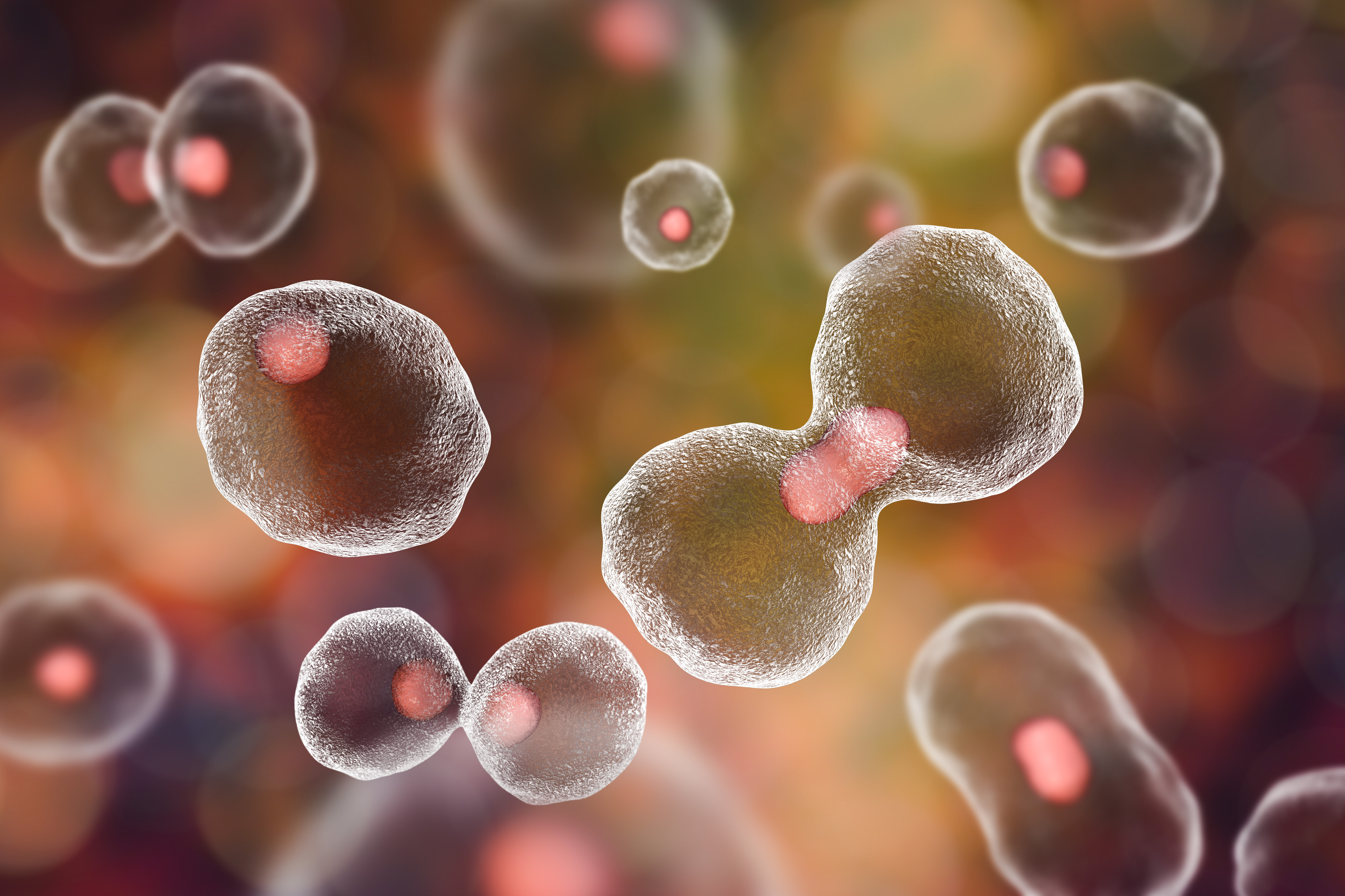 Dividing cells on colorful background, 3D illustration