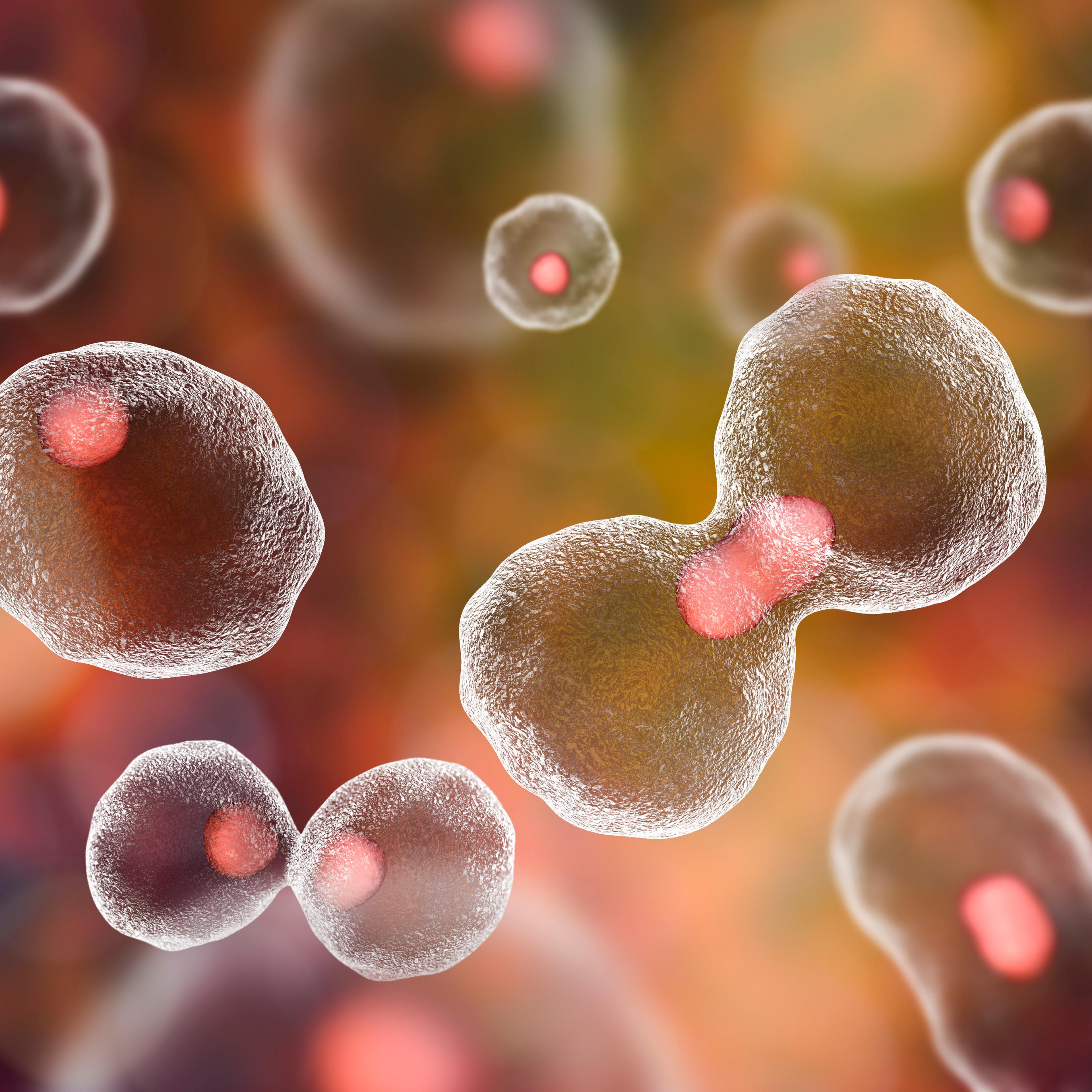 Dividing cells on colorful background, 3D illustration