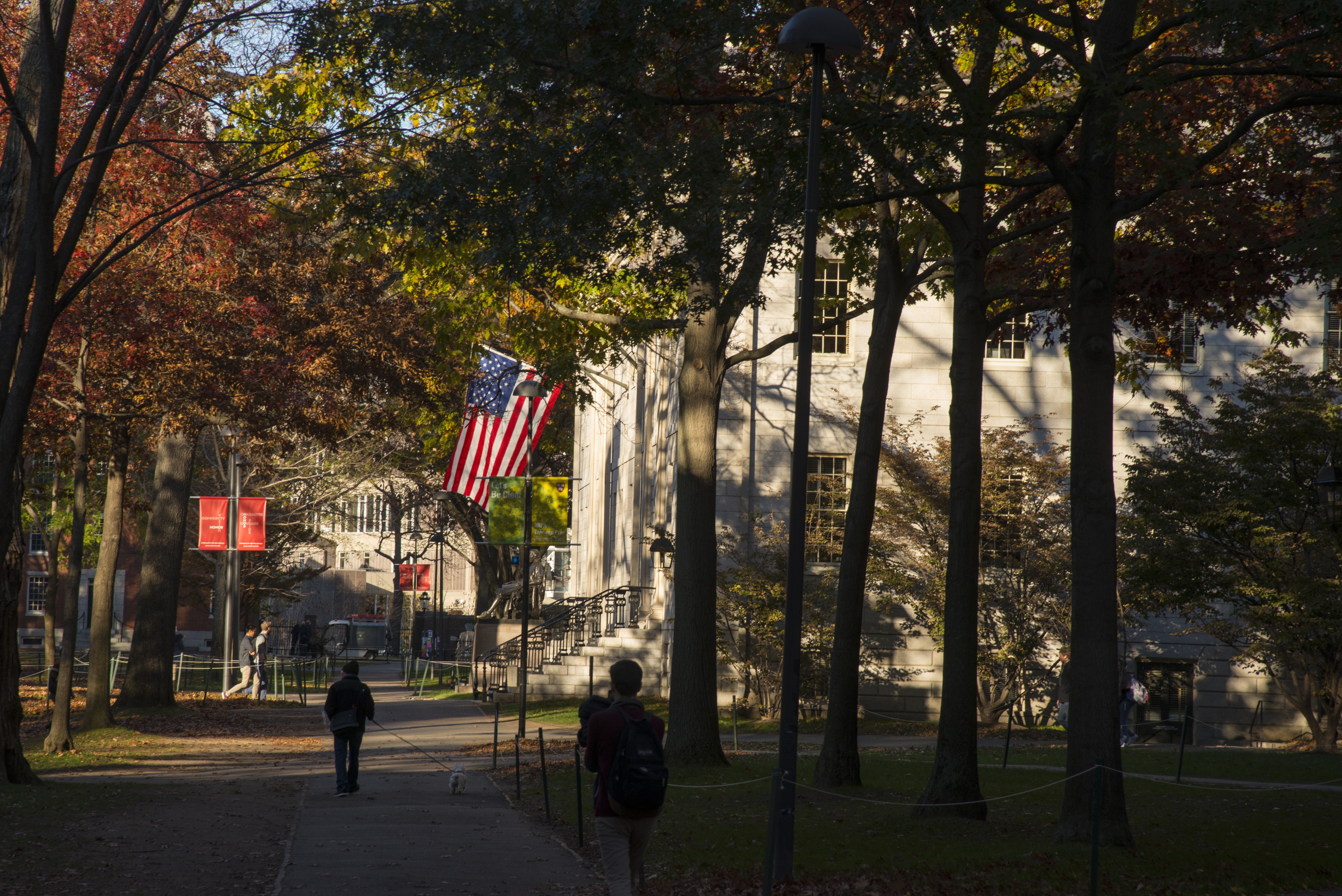 Harvard Yard