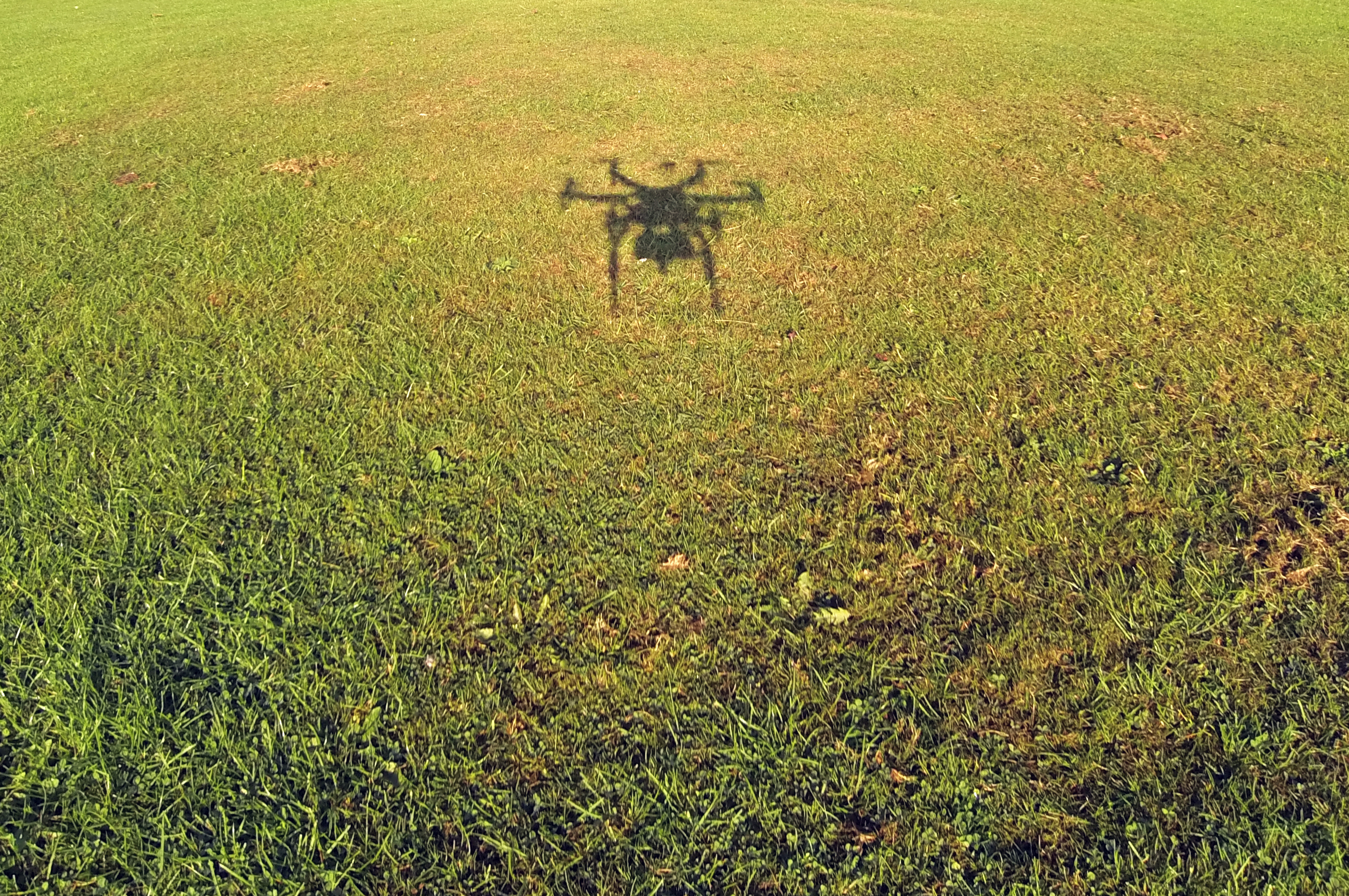 516026797