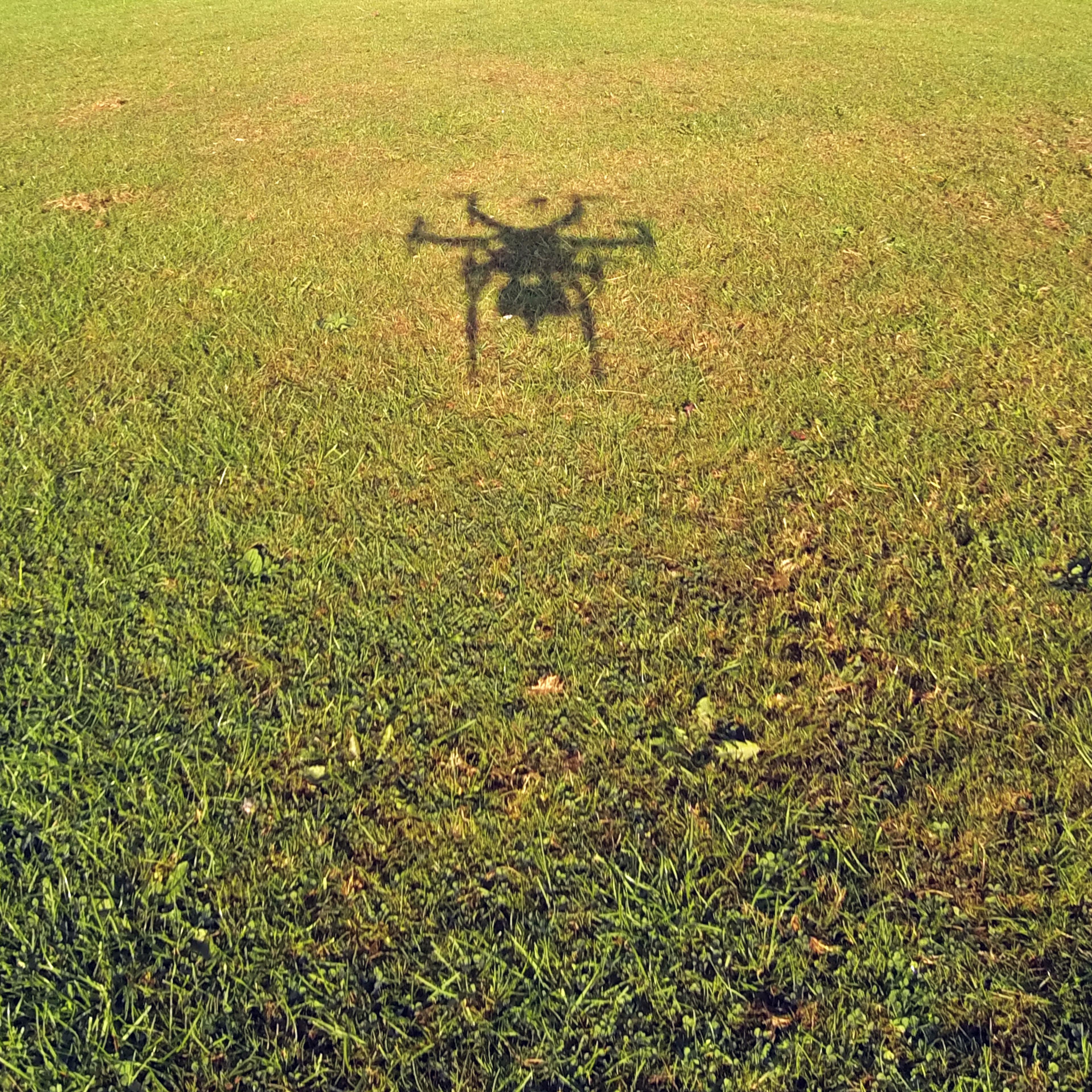 516026797