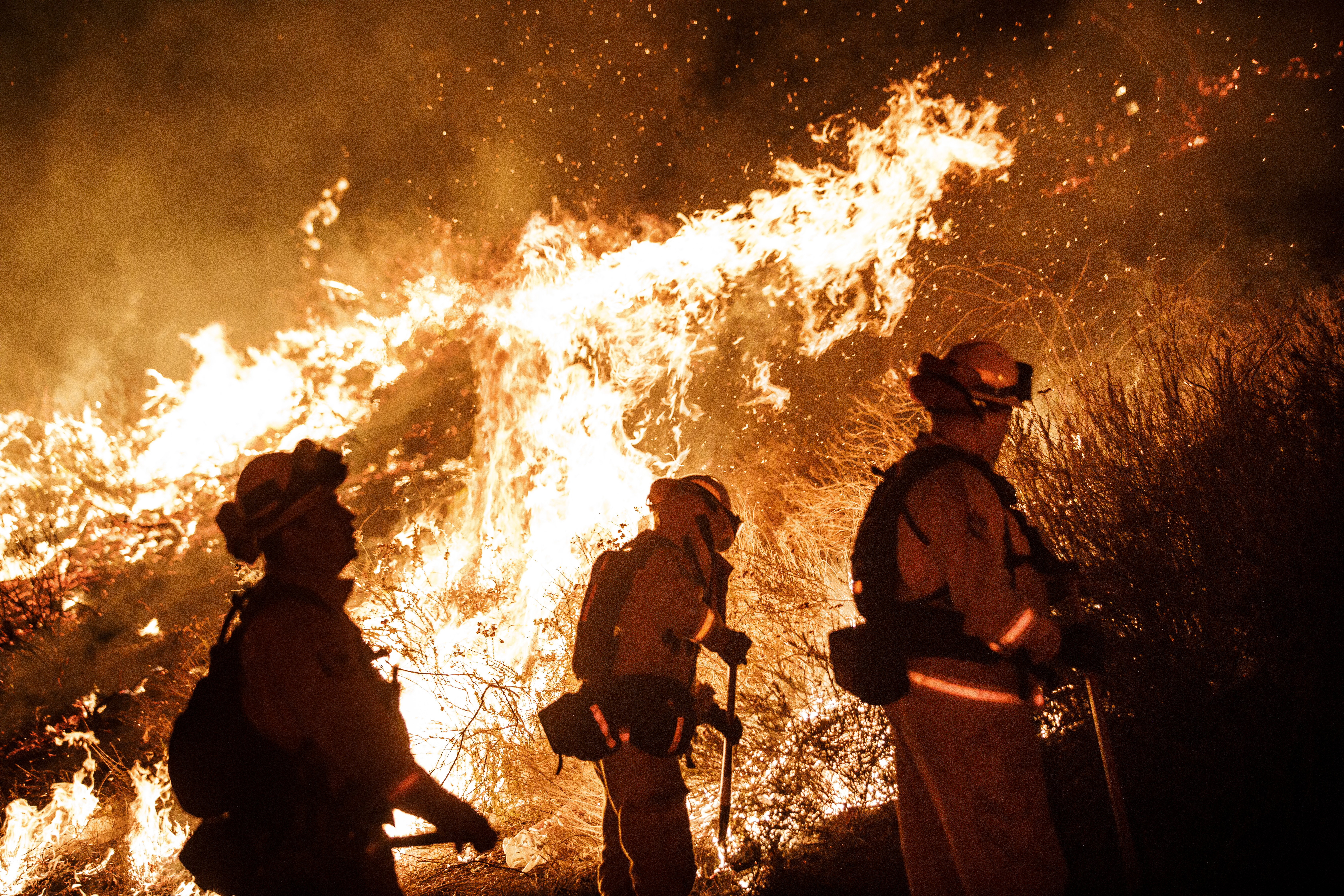 California Wildfire Size